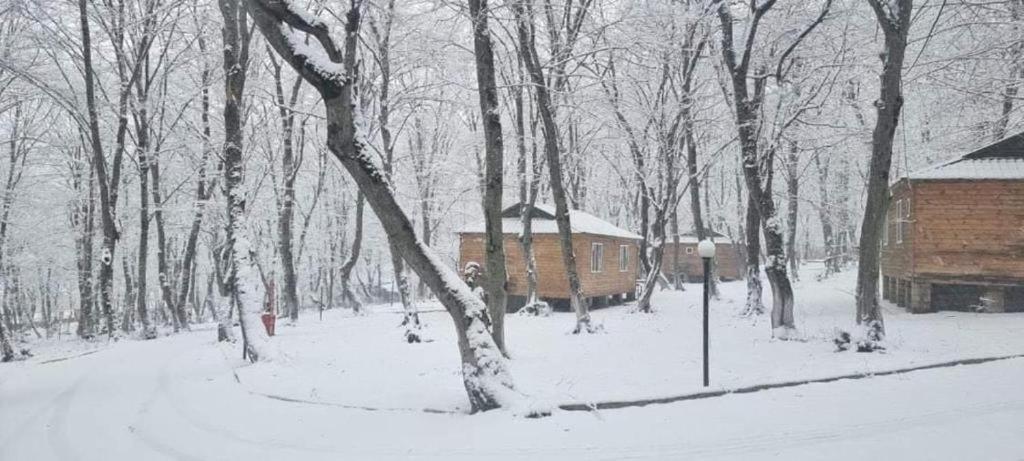 WoodenCottages