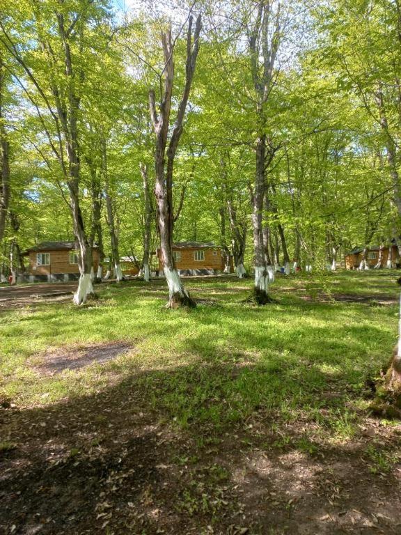 WoodenCottages