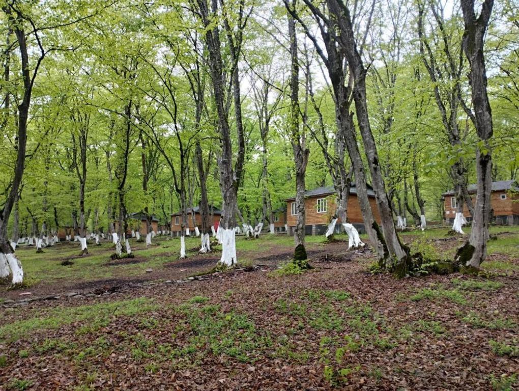 WoodenCottages