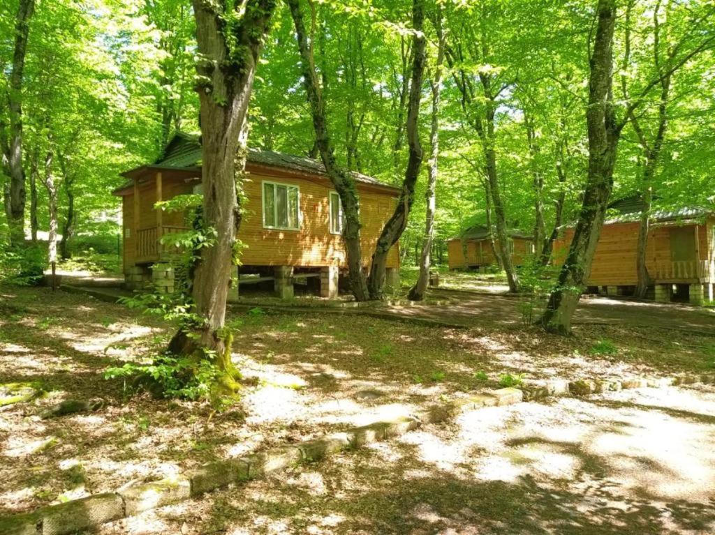 WoodenCottages