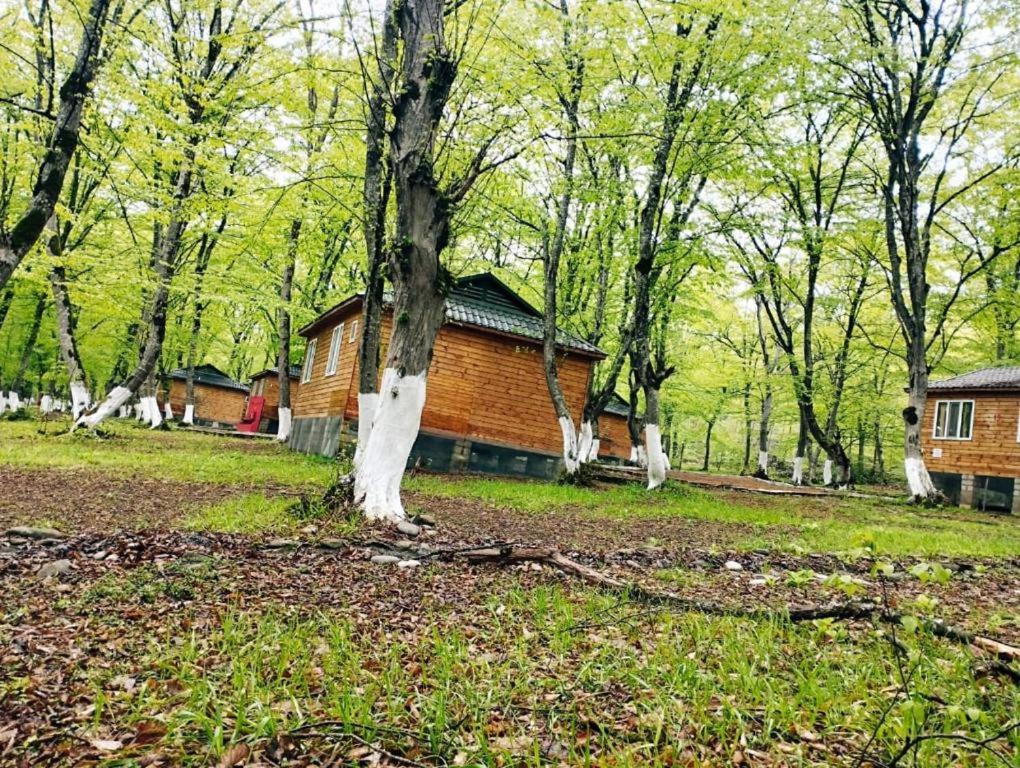 WoodenCottages