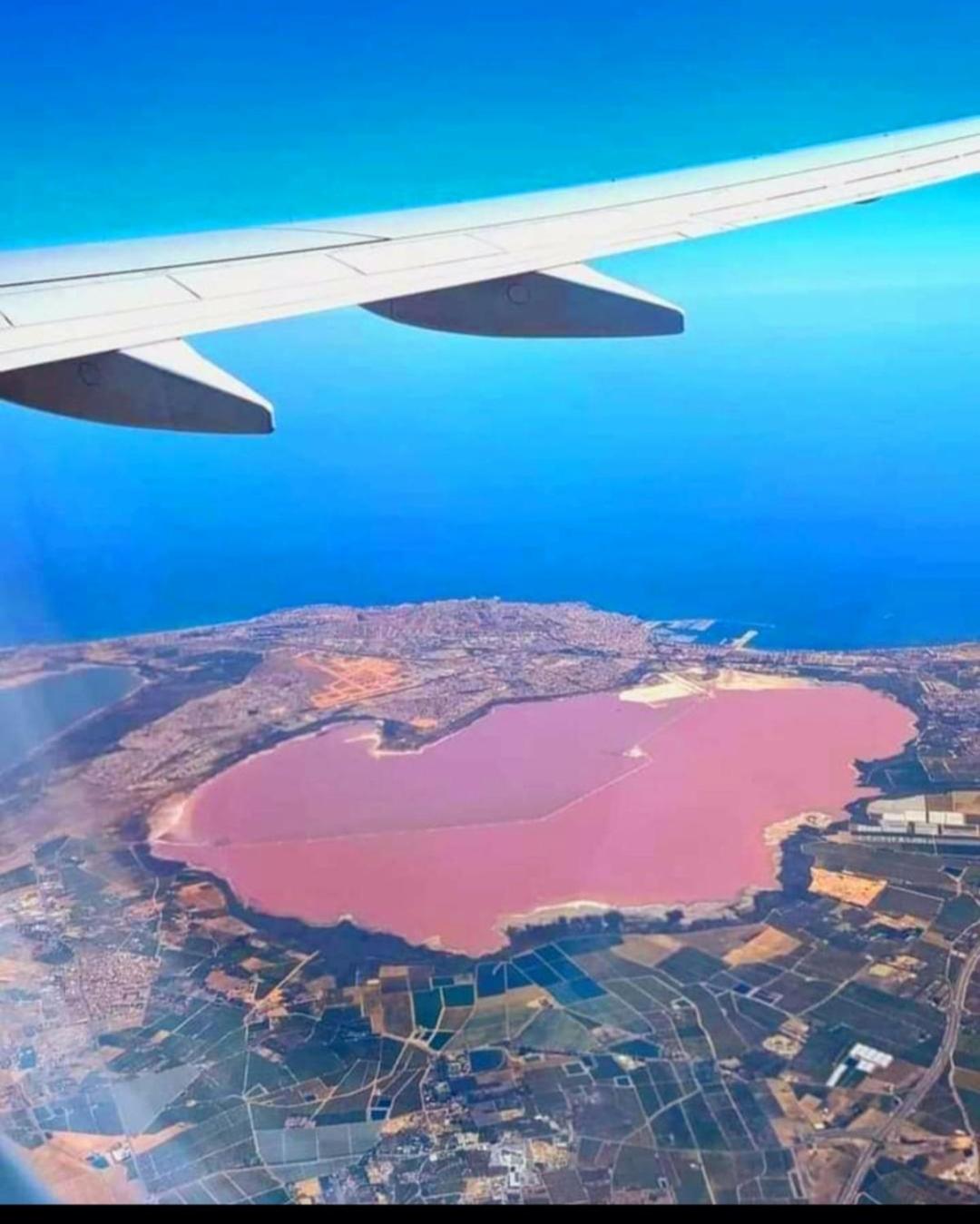 Torrevieja - San Miguel de Salinas, Entire Home view 4