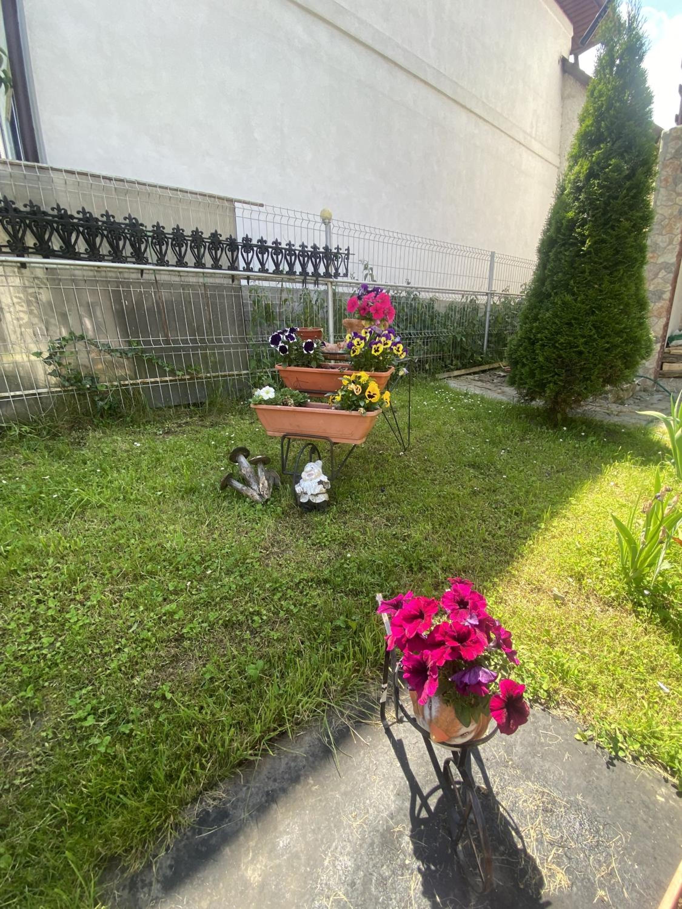 Photo 24
