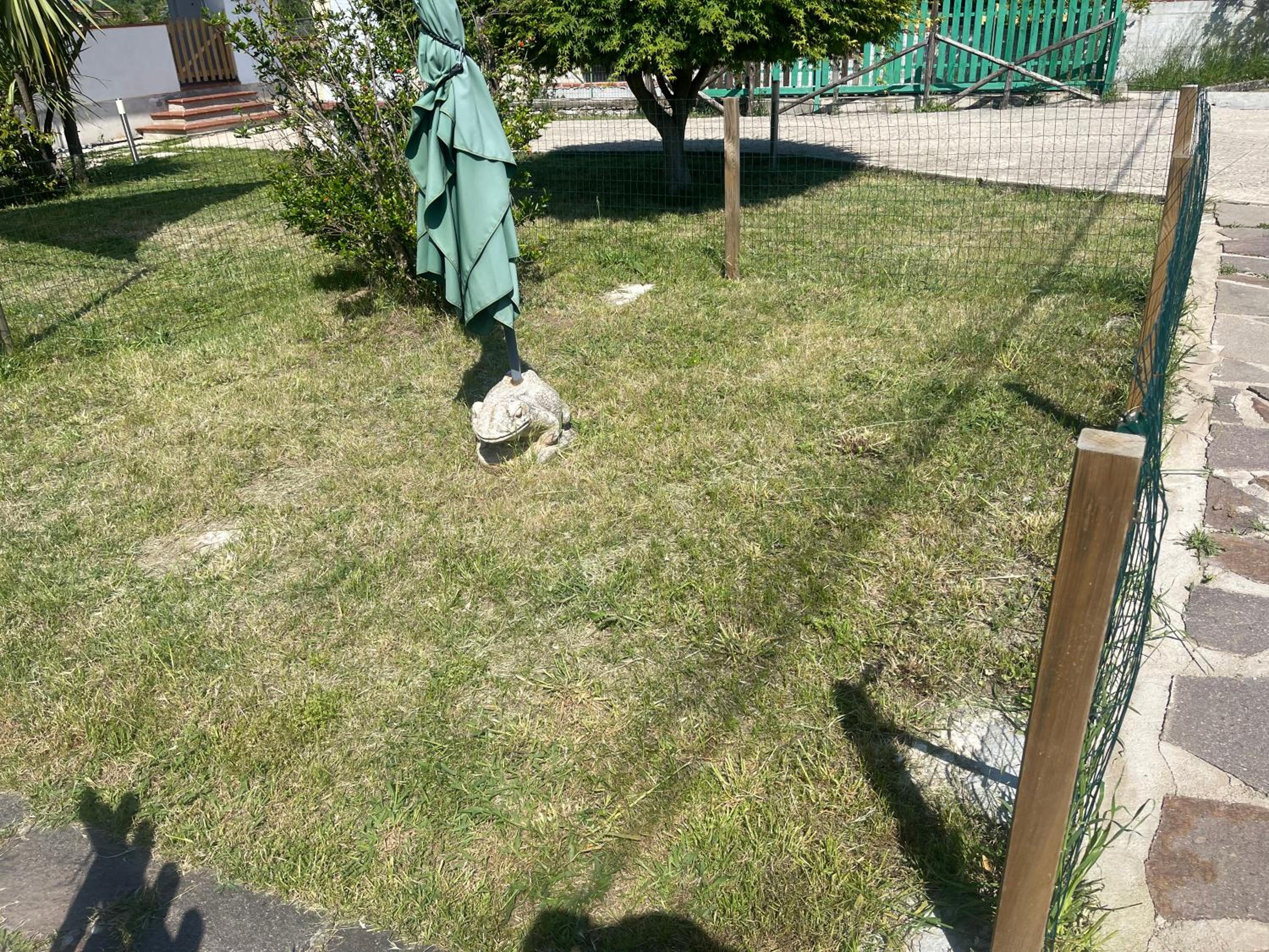 Villa Lidia & Attico degli artisti, free pets , giardino recintato e attrezzato view 2