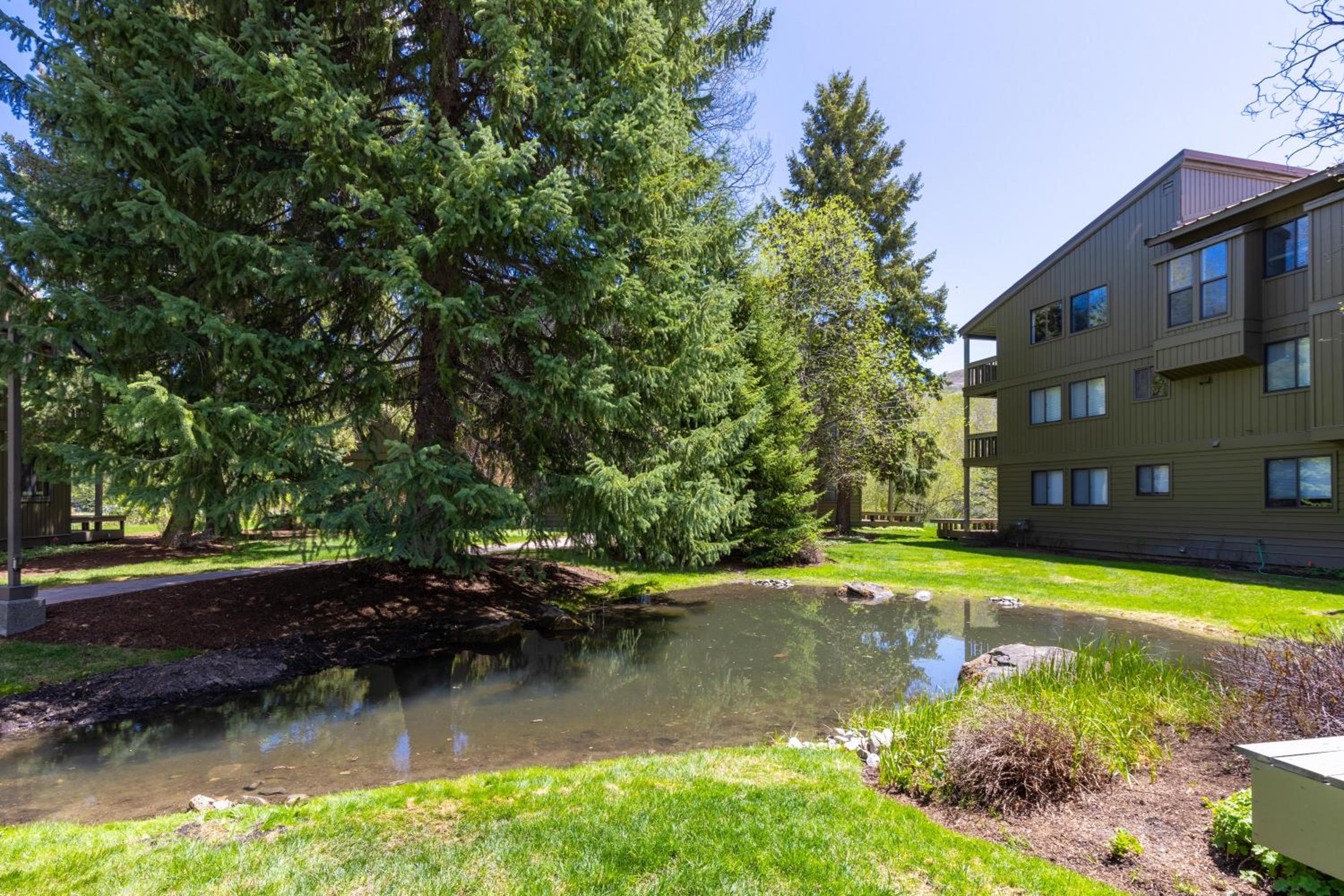 Cottonwood Condo in Sun Valley view 4