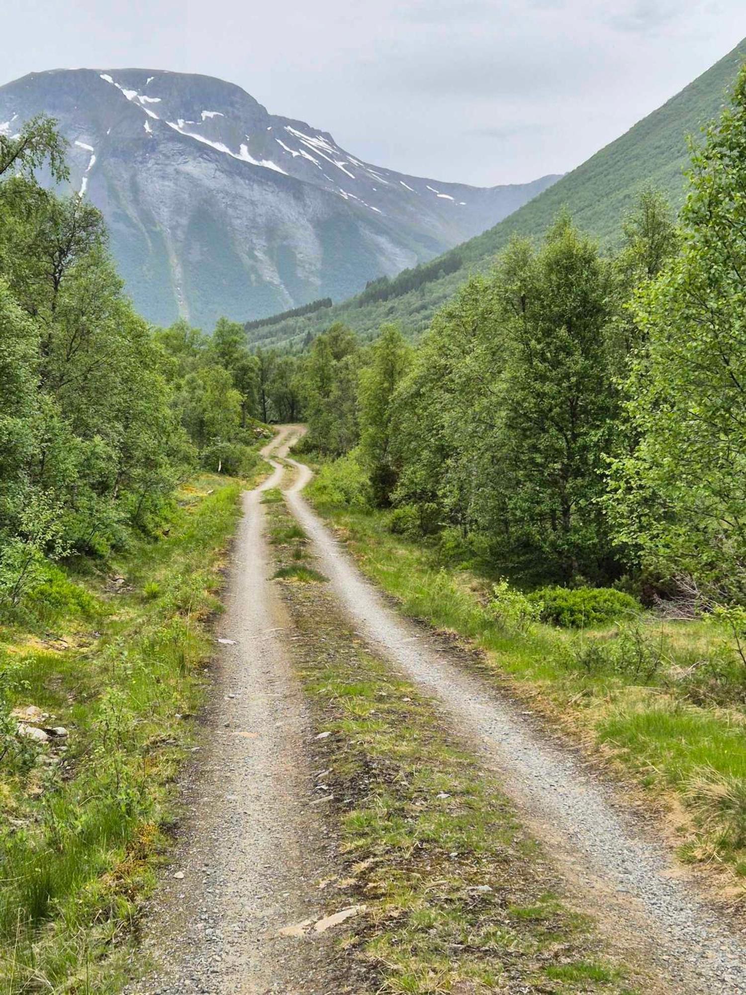 Hytta på Kvia, Rognestøyldalen - Sæbø