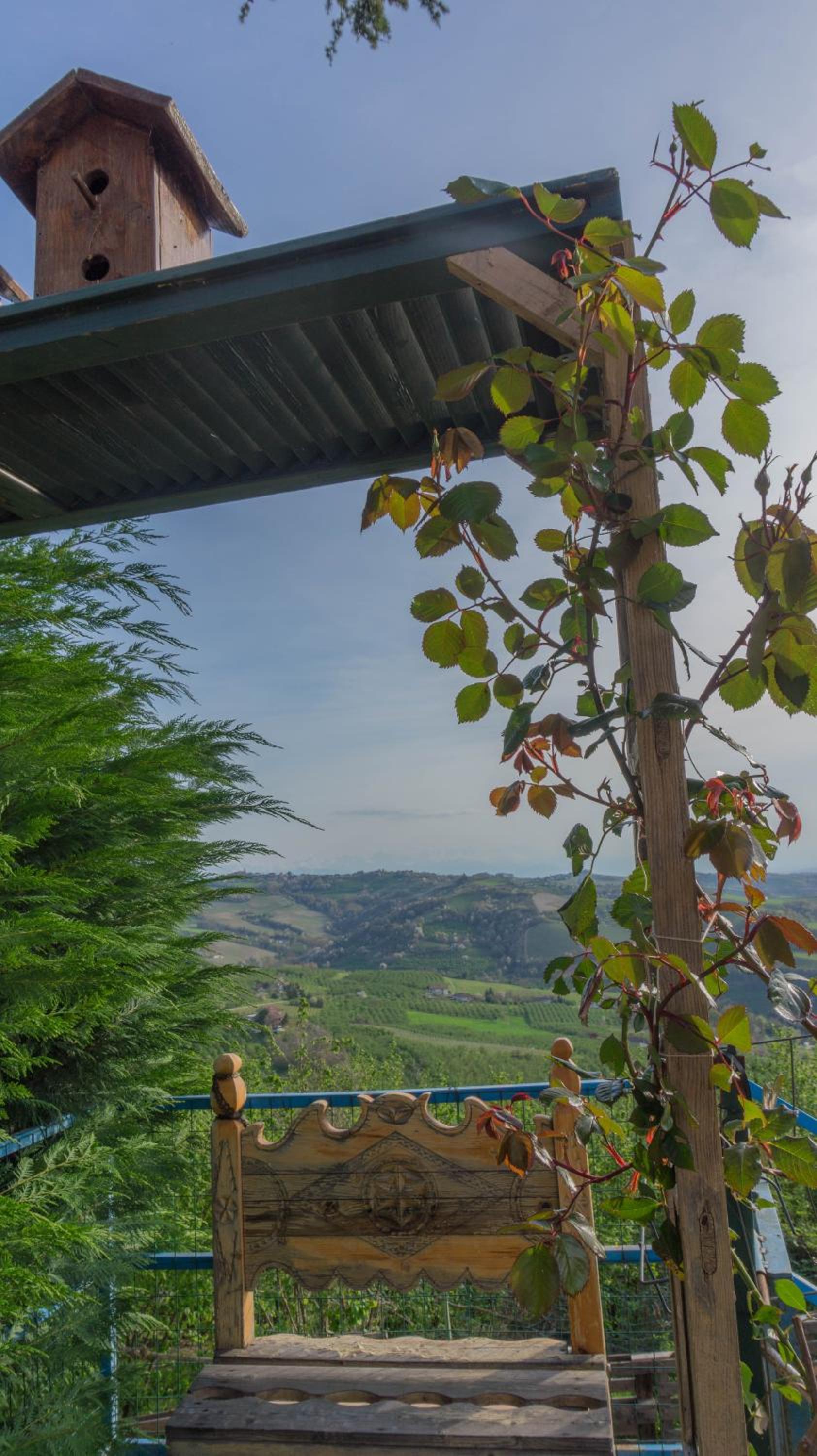 B&B La Buonora