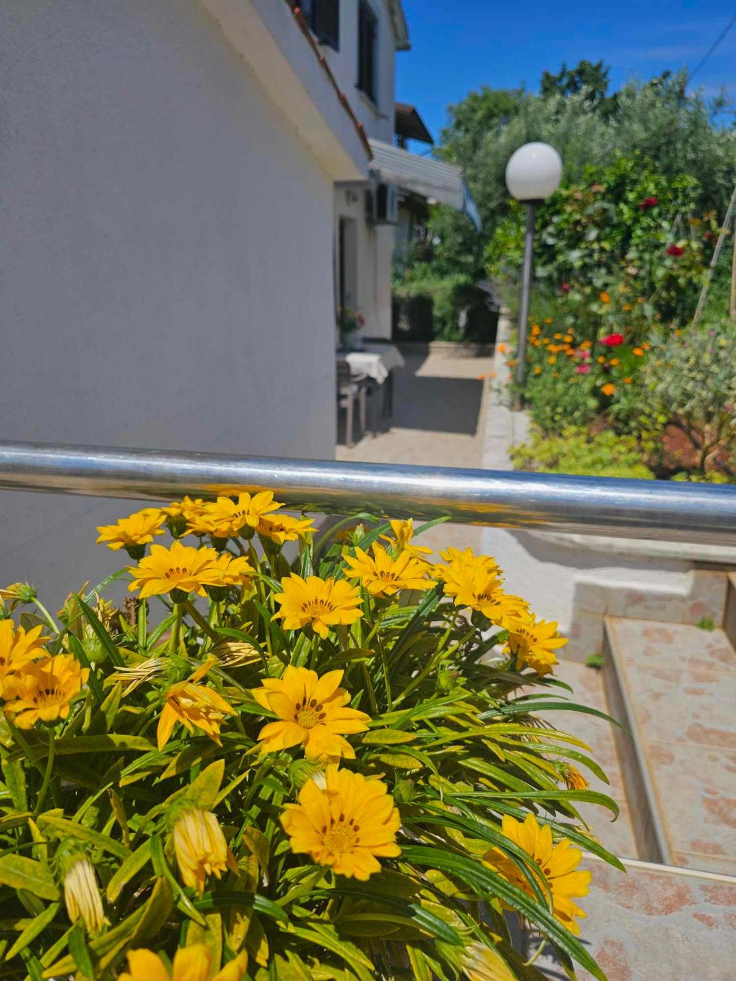 Apartmani Rita Oliva