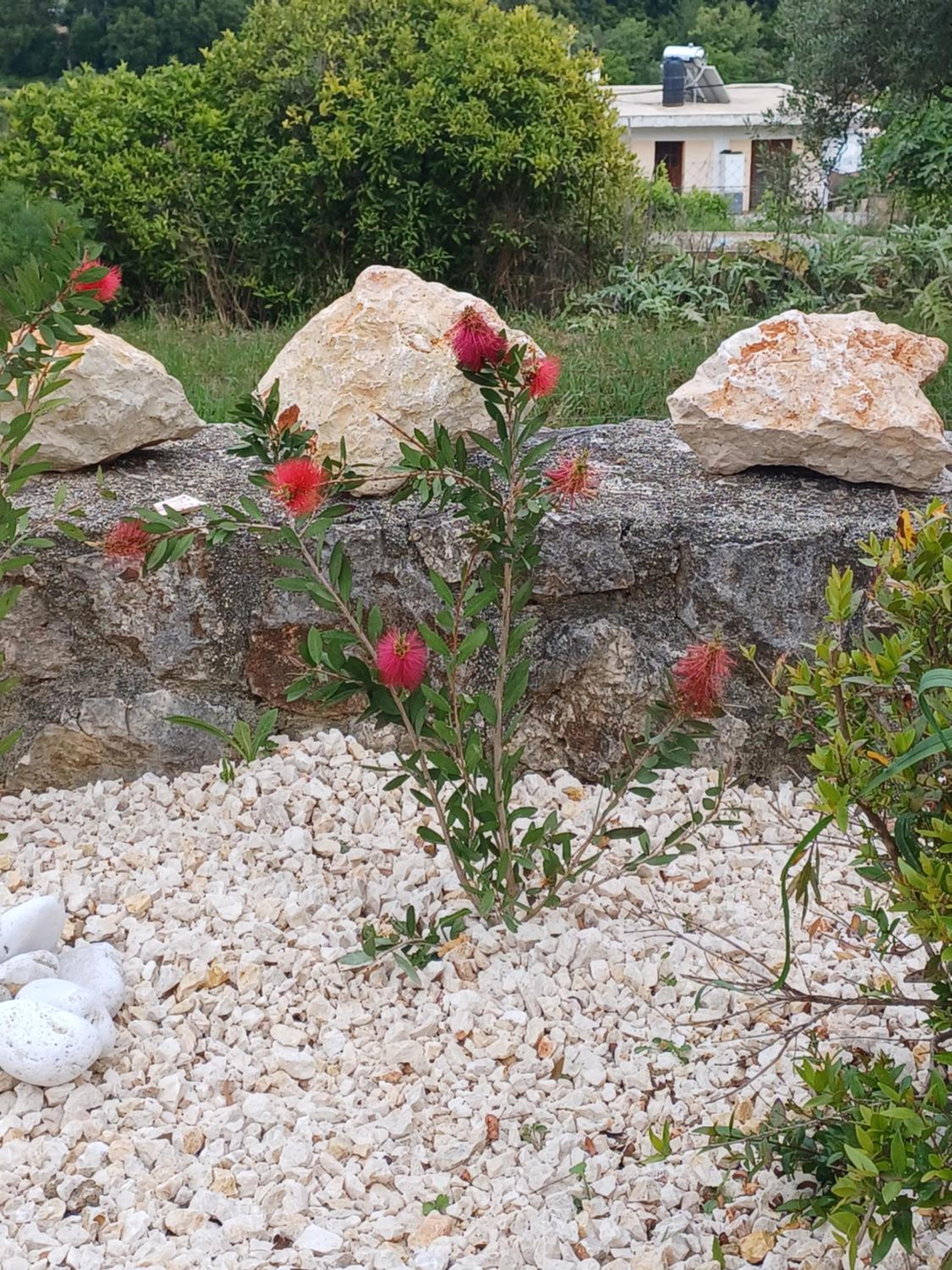 Photo 26