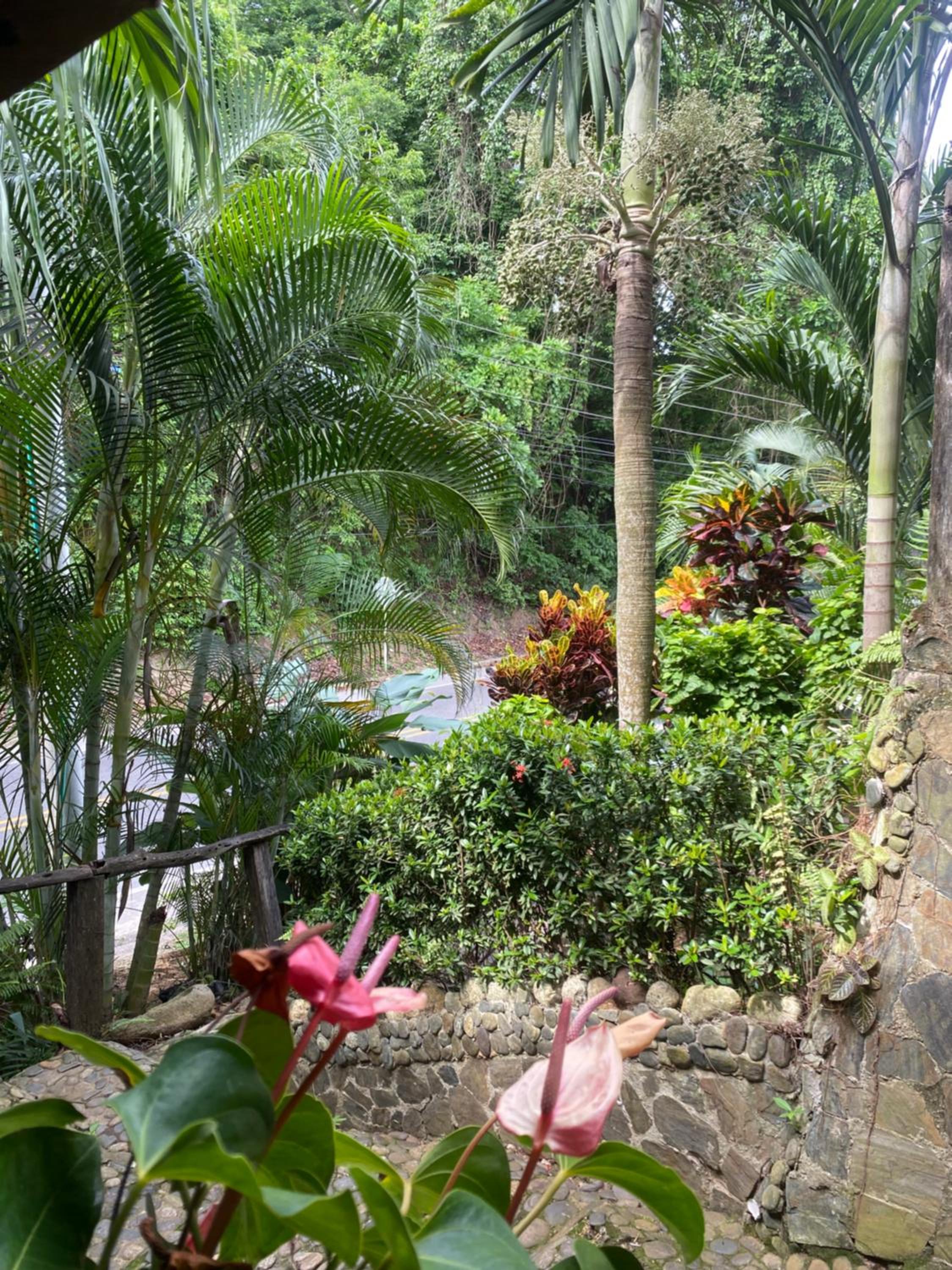 Eco Hostal La Perla Tayrona