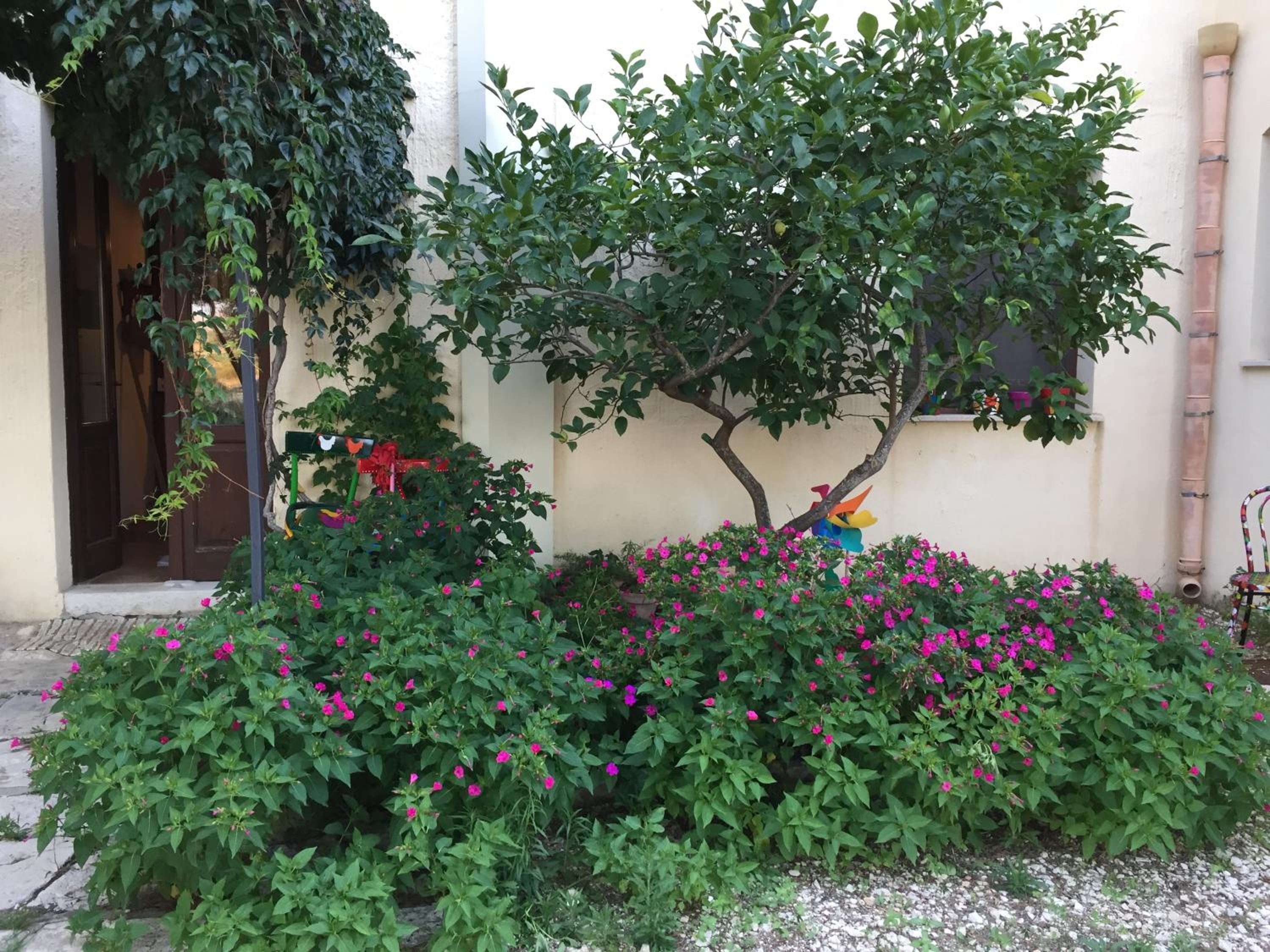 Photo 29