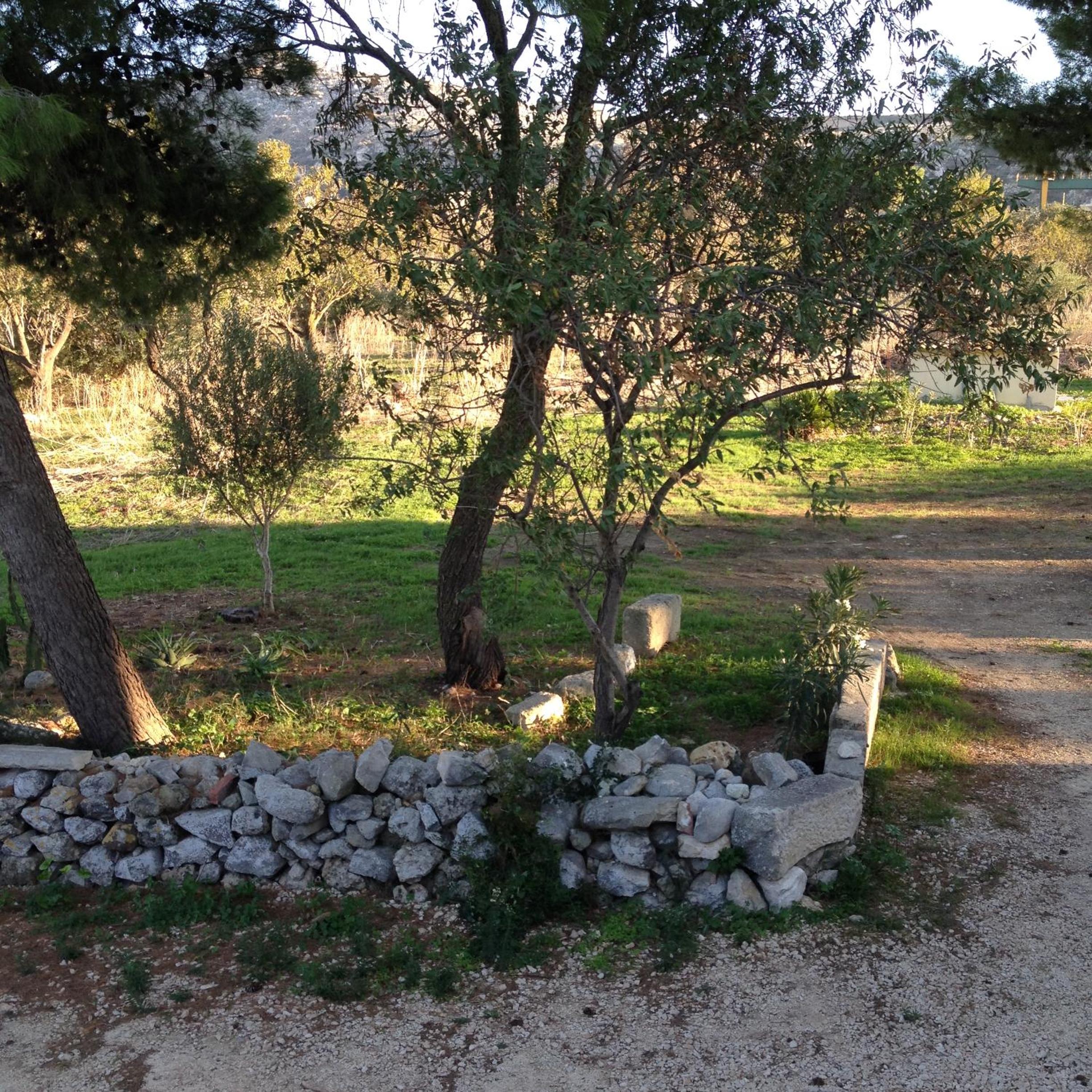 Photo 32