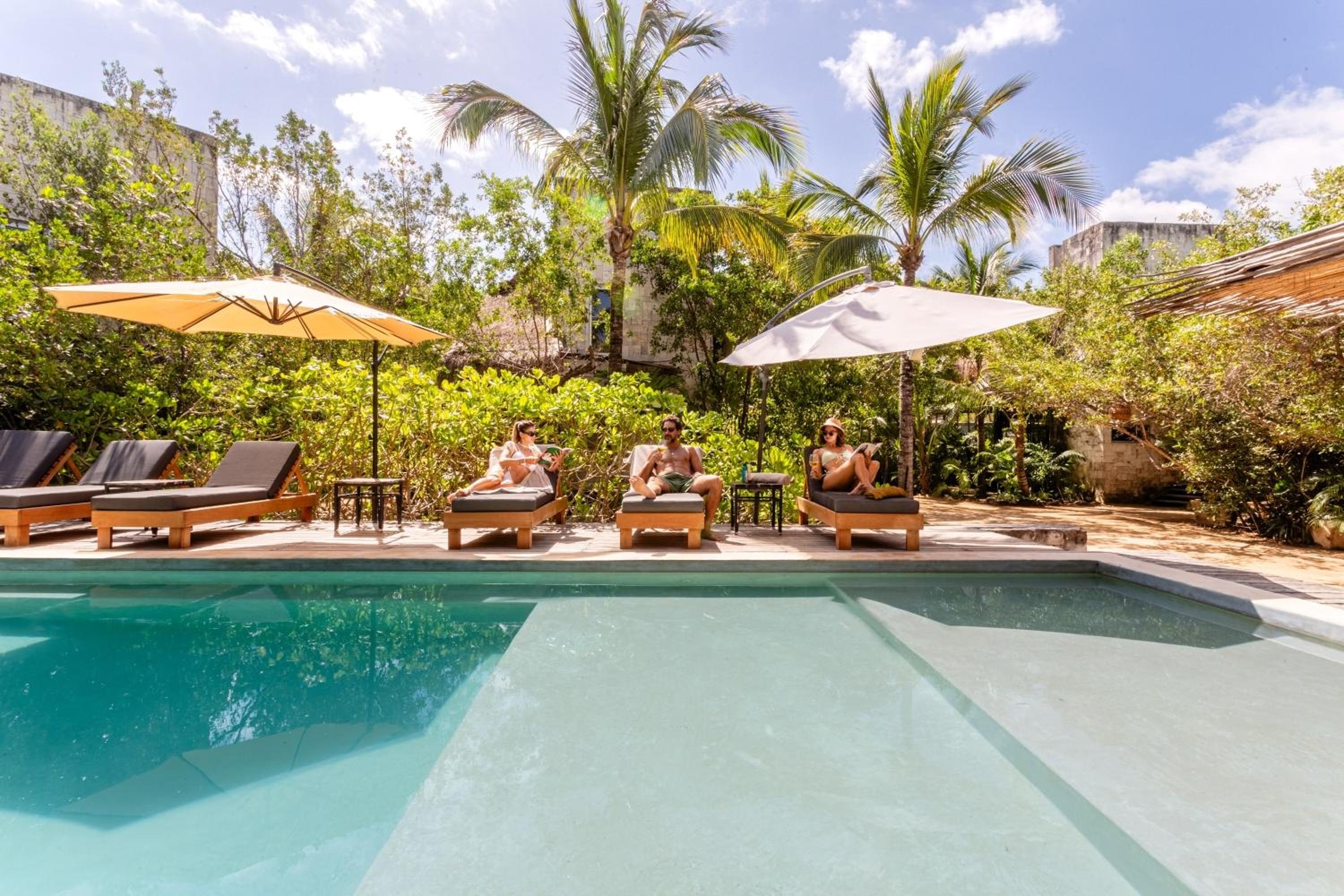 Vida Silvestre Tulum view 5