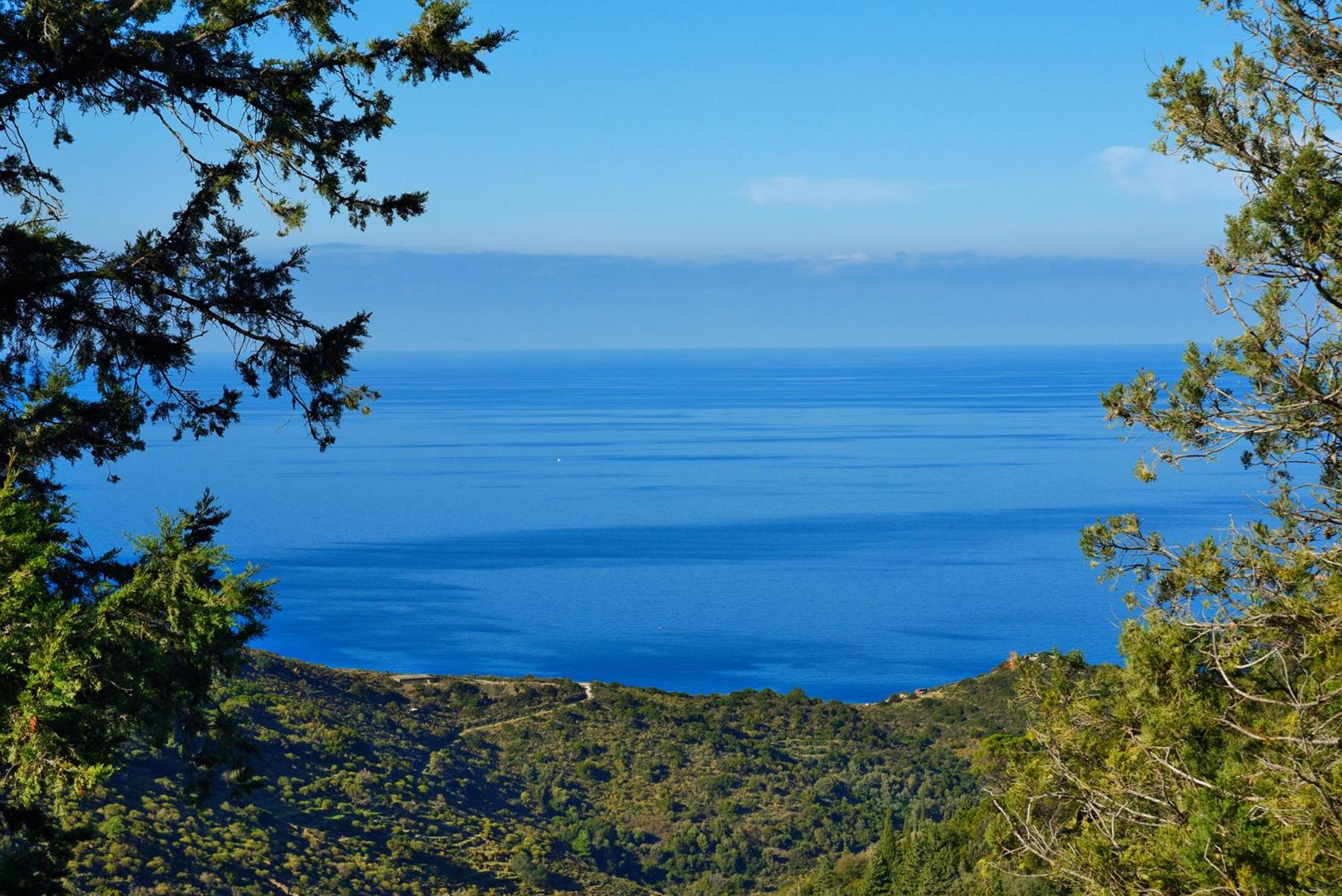 Endless Green 4 Arethousa Ikaria