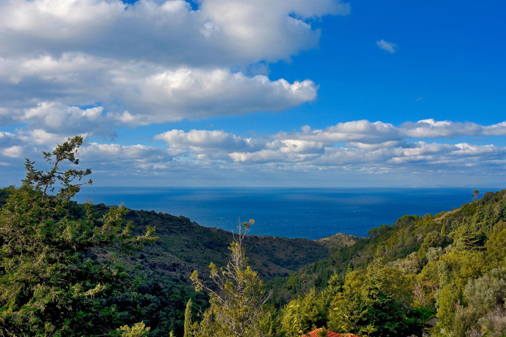 Endless Green 4 Arethousa Ikaria