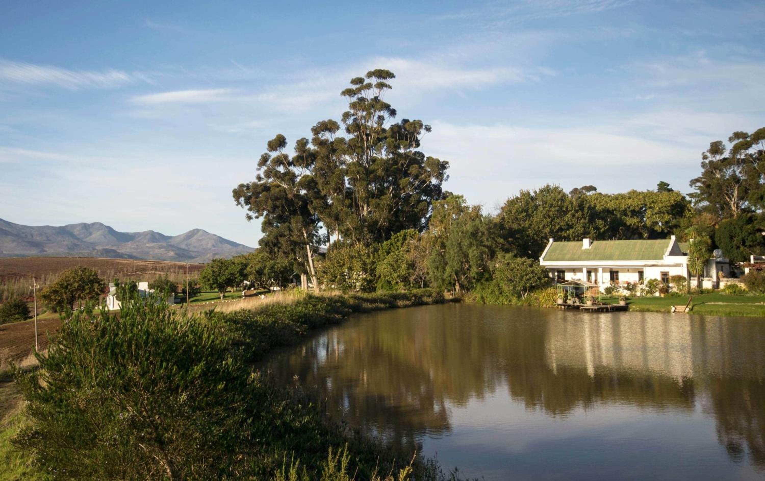 Beaumont Family Wines view 5