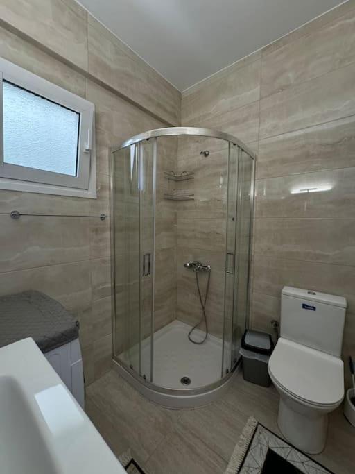 Paola's Apartment's photo 2