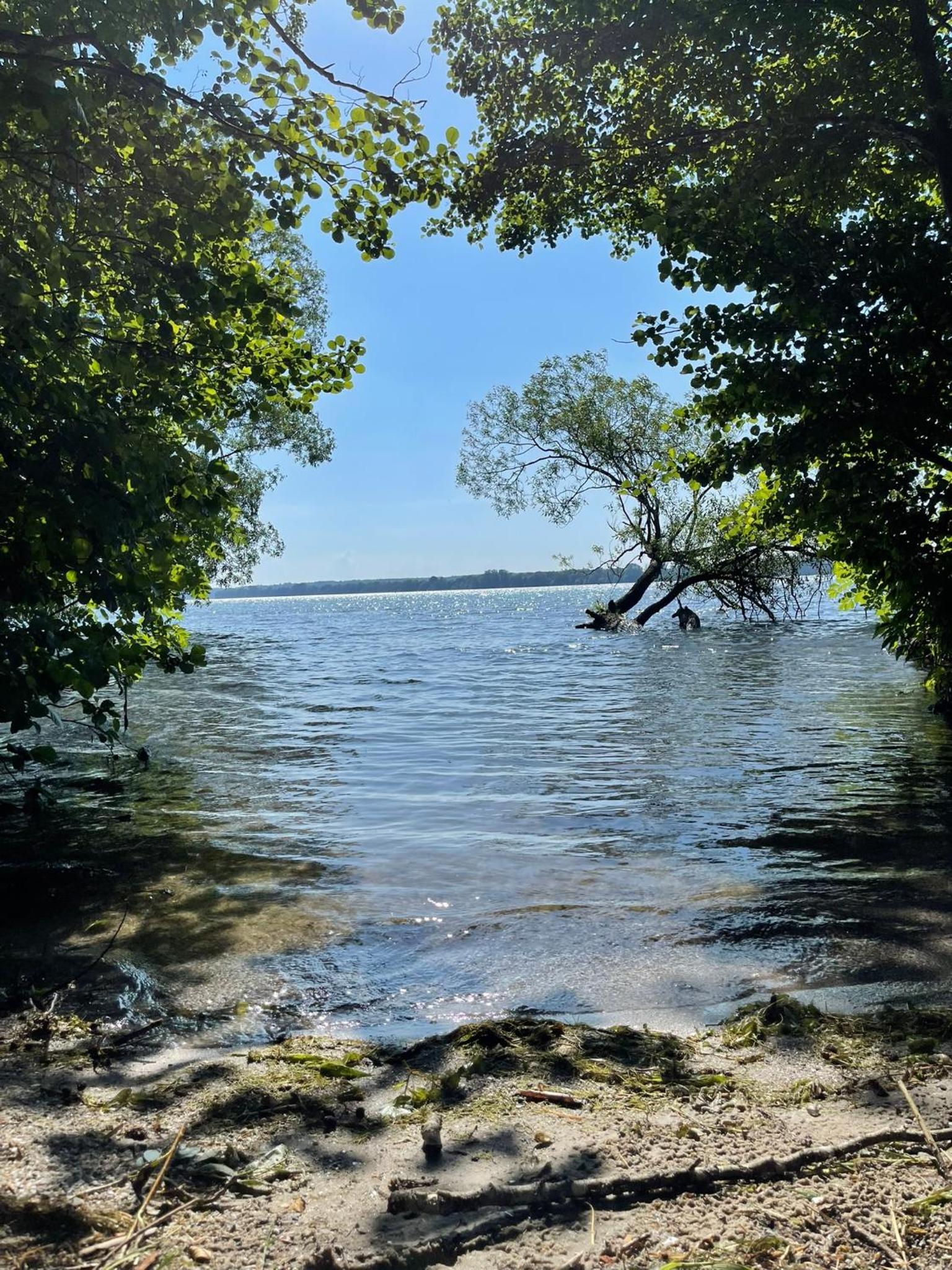 Auszeit am Schweriner See