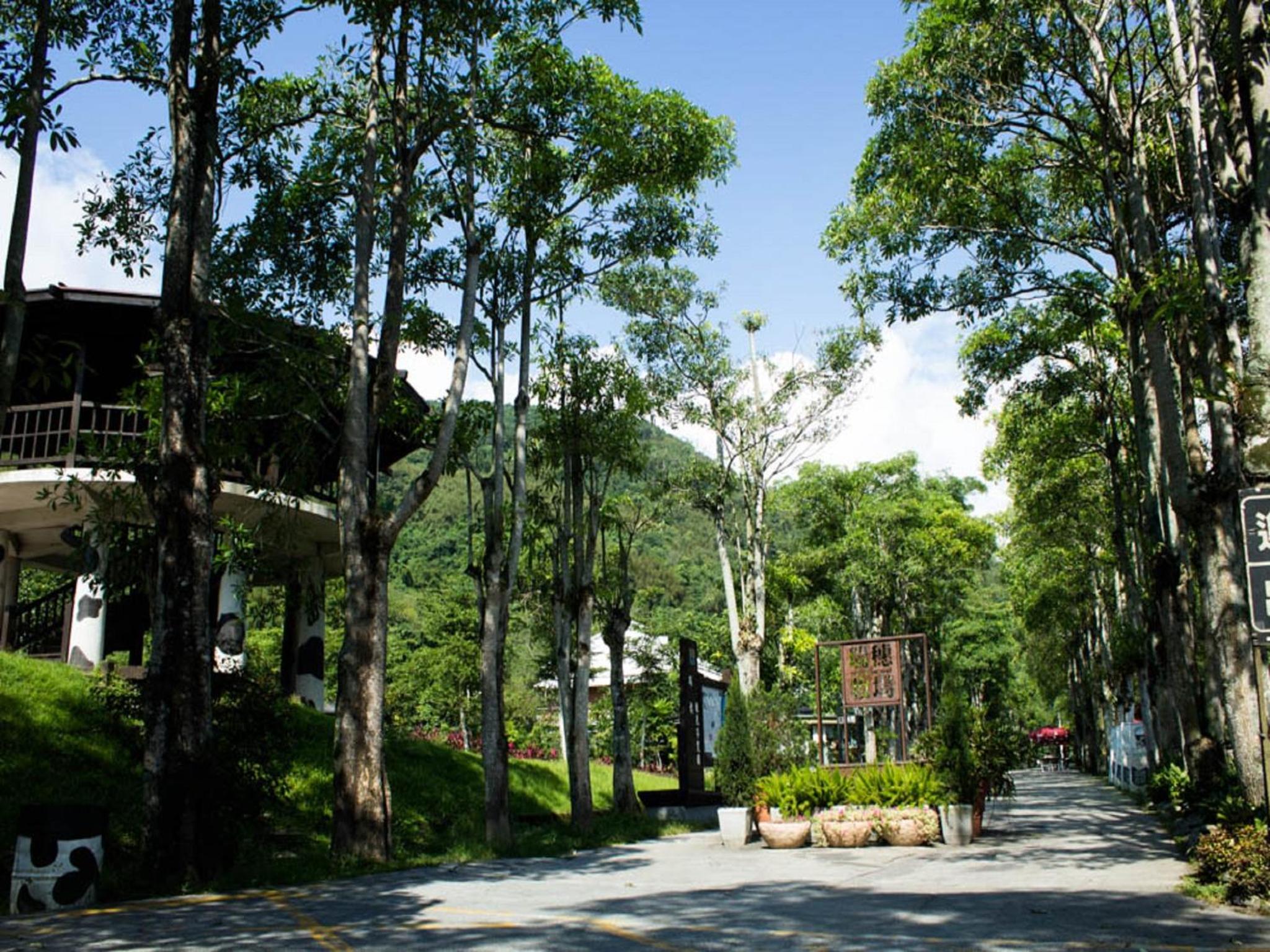 Lin Tea B&B