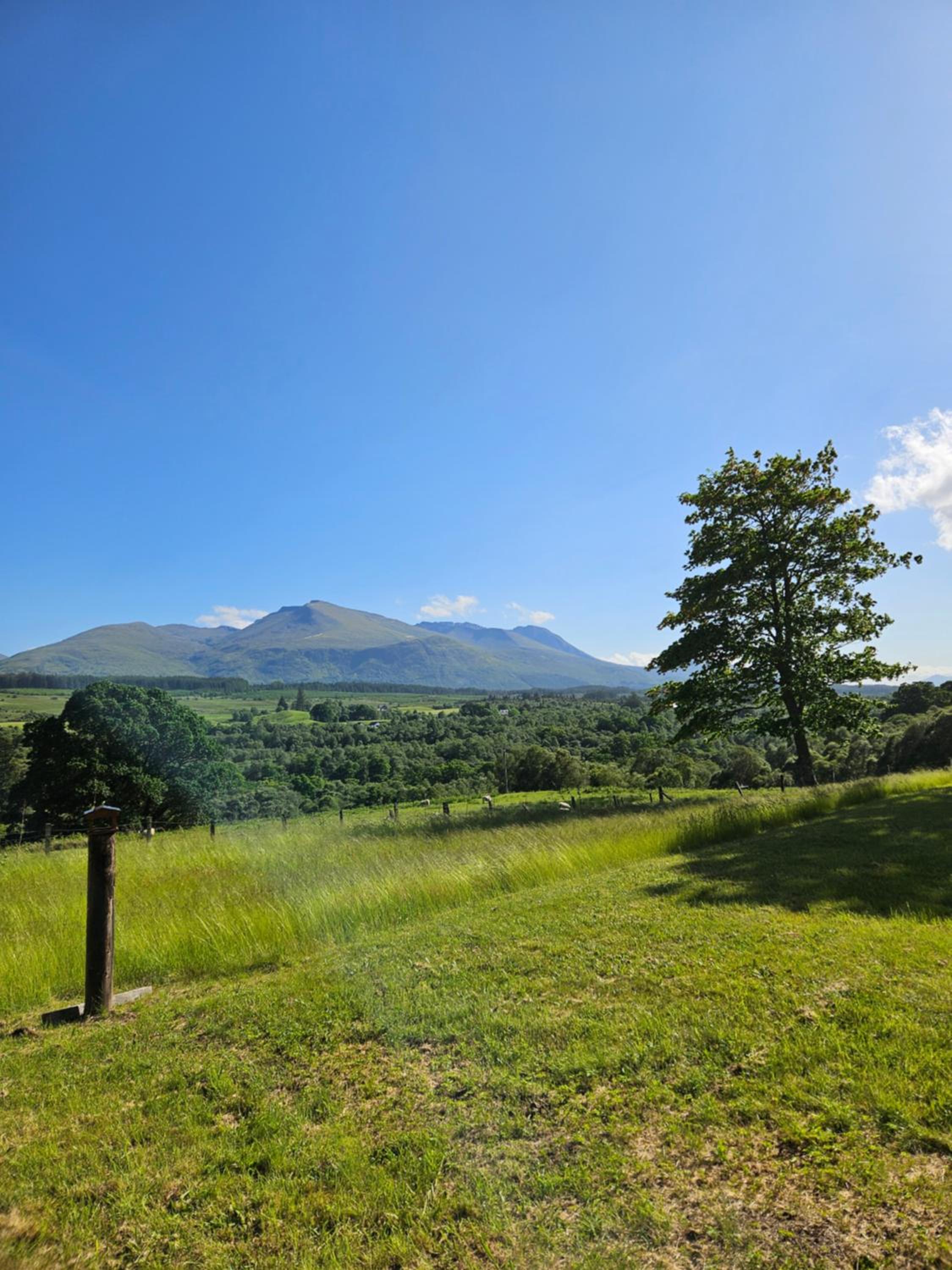 Old School, Spean Bridge - fun, friendly, relaxed view 5