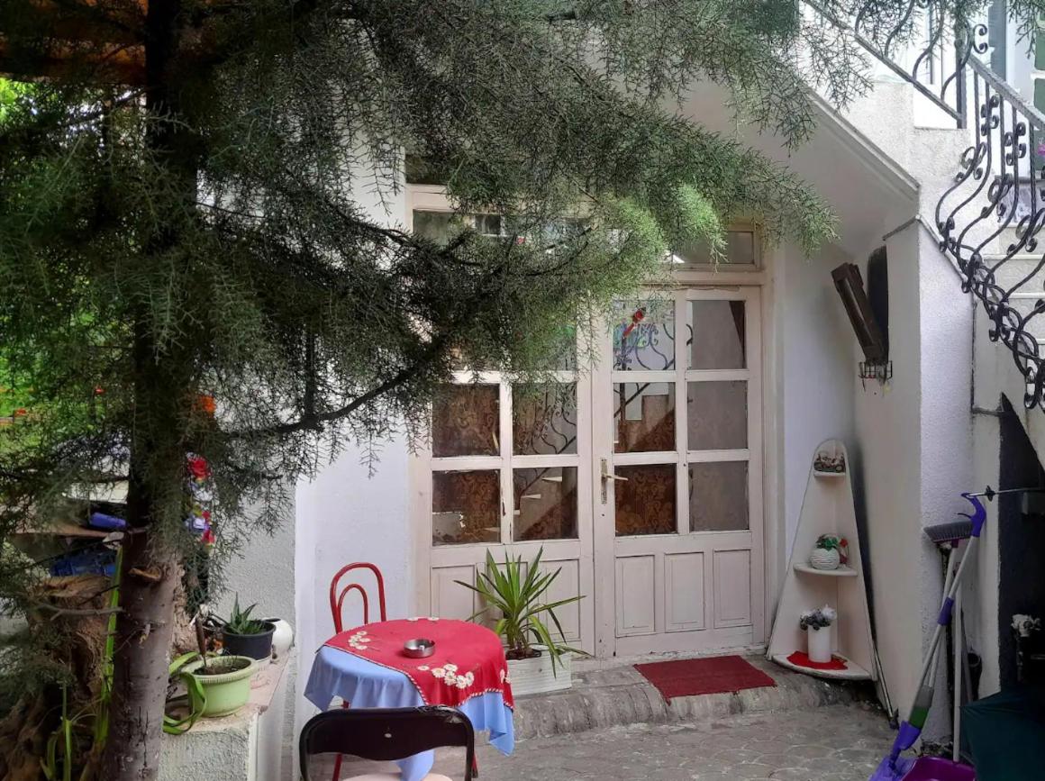 Photo 8