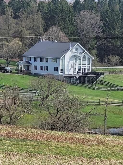 Fireball's Lodge view 2