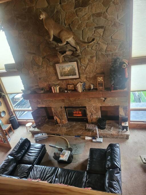 Fireball's Lodge view 5