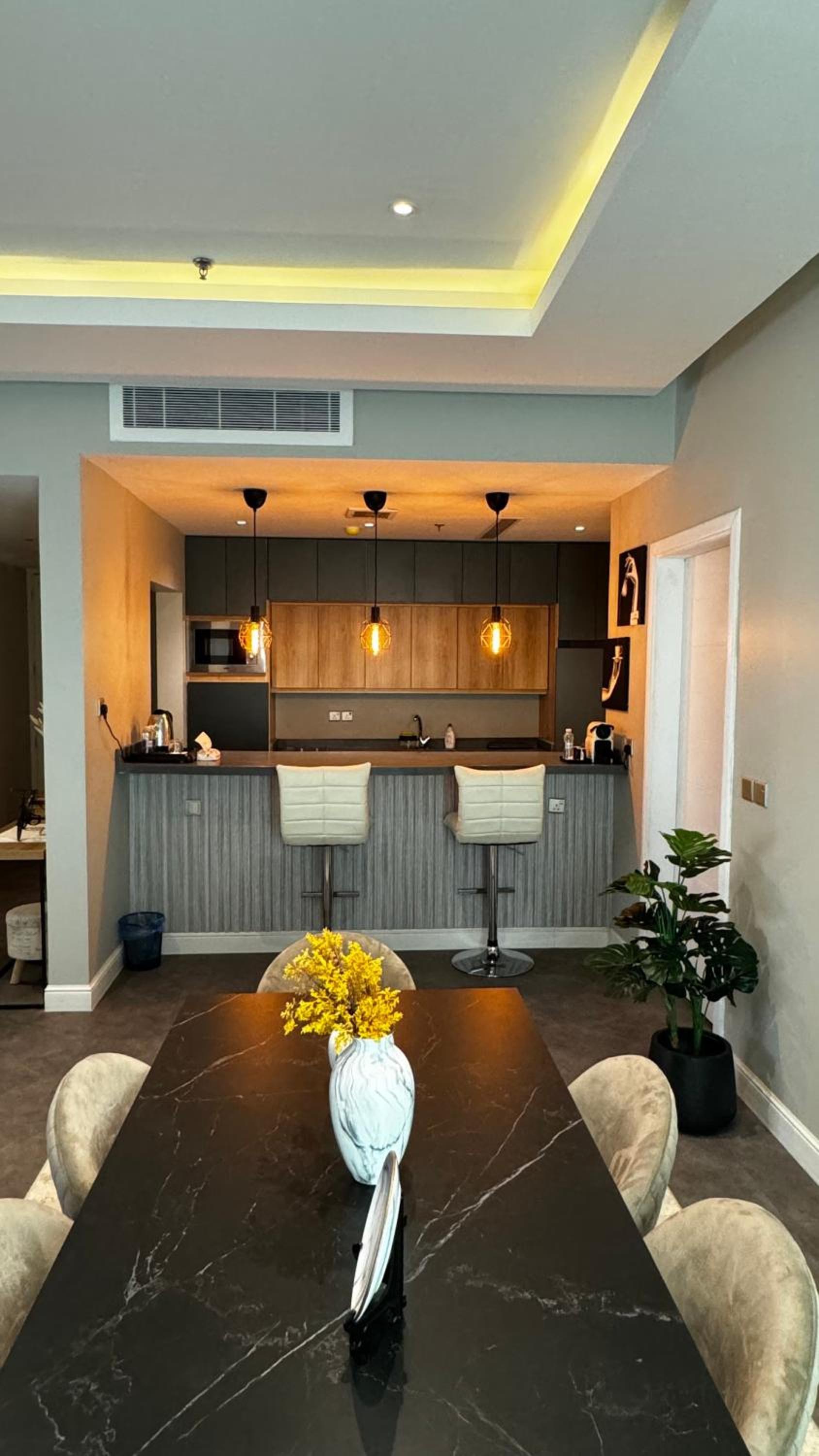 DNA Luxury apartments ,SMART ENTRY , Perfect View
