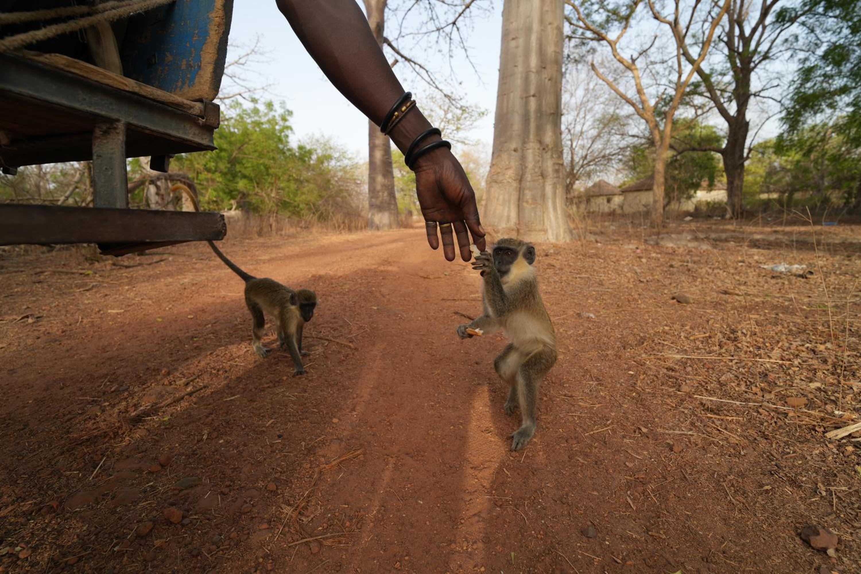 La Teranga Toubacouta