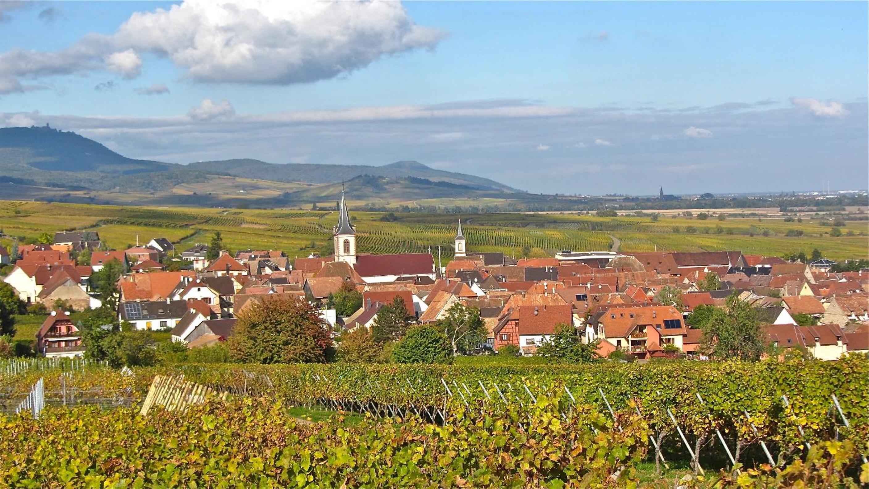 Gîte du Vignoble en Beblenheim