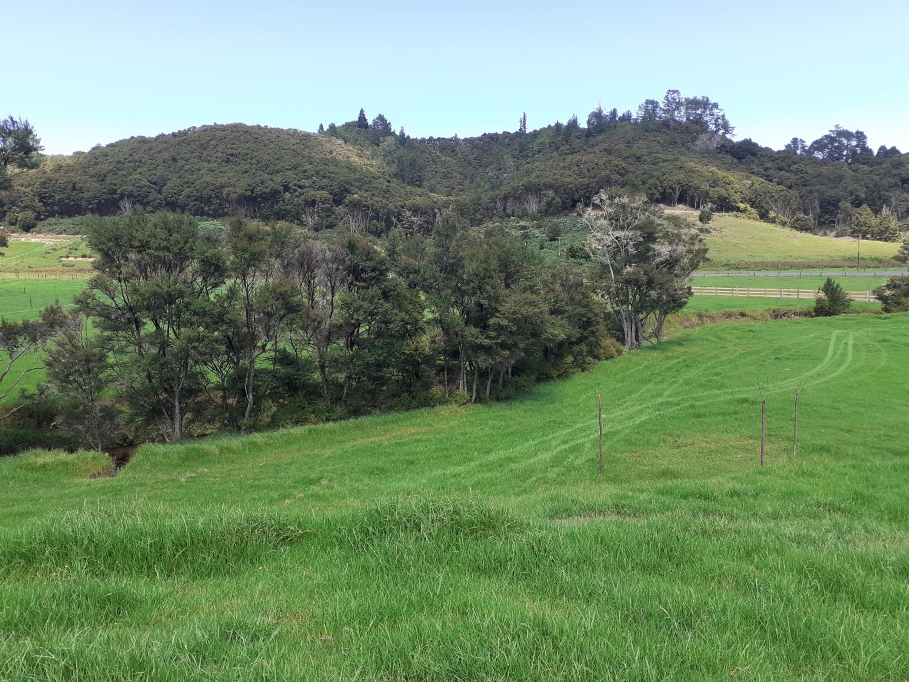 Dream Weavers Farm Cabin view 3