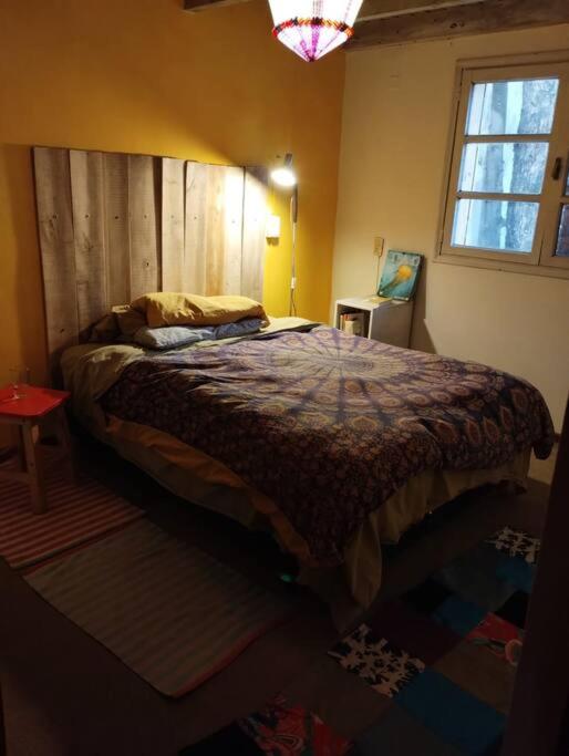 Warm and welcoming cabin