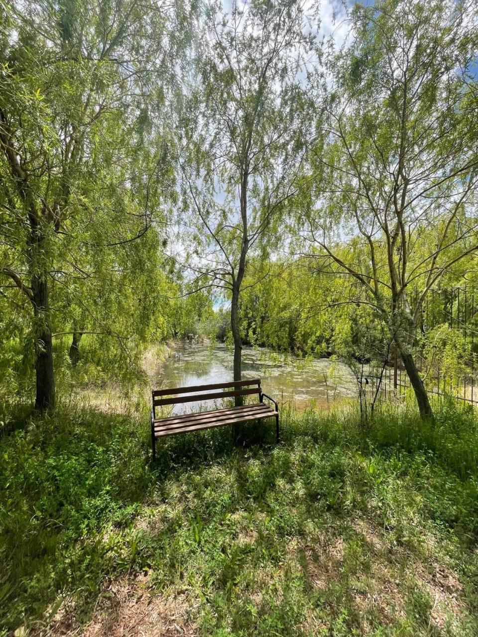 Photo 6