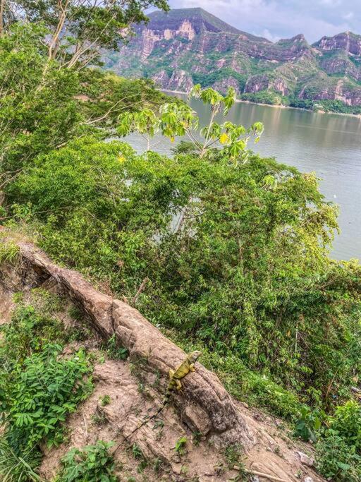 Isla privada Manyatta