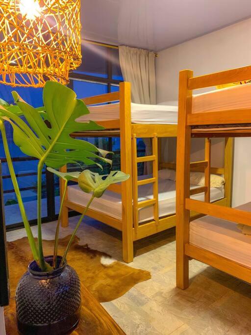 Isla privada Manyatta