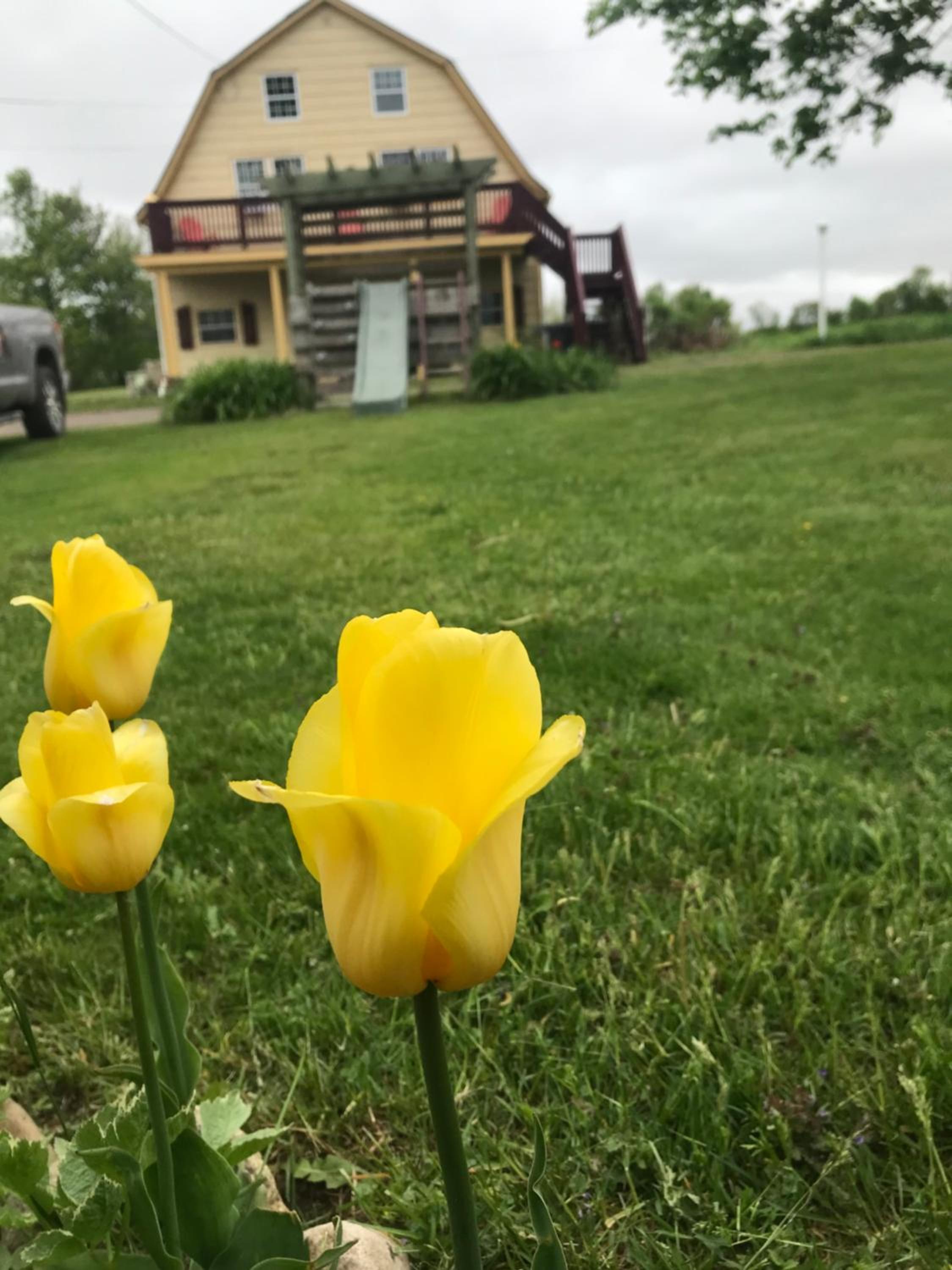 A Country Home Inn the city