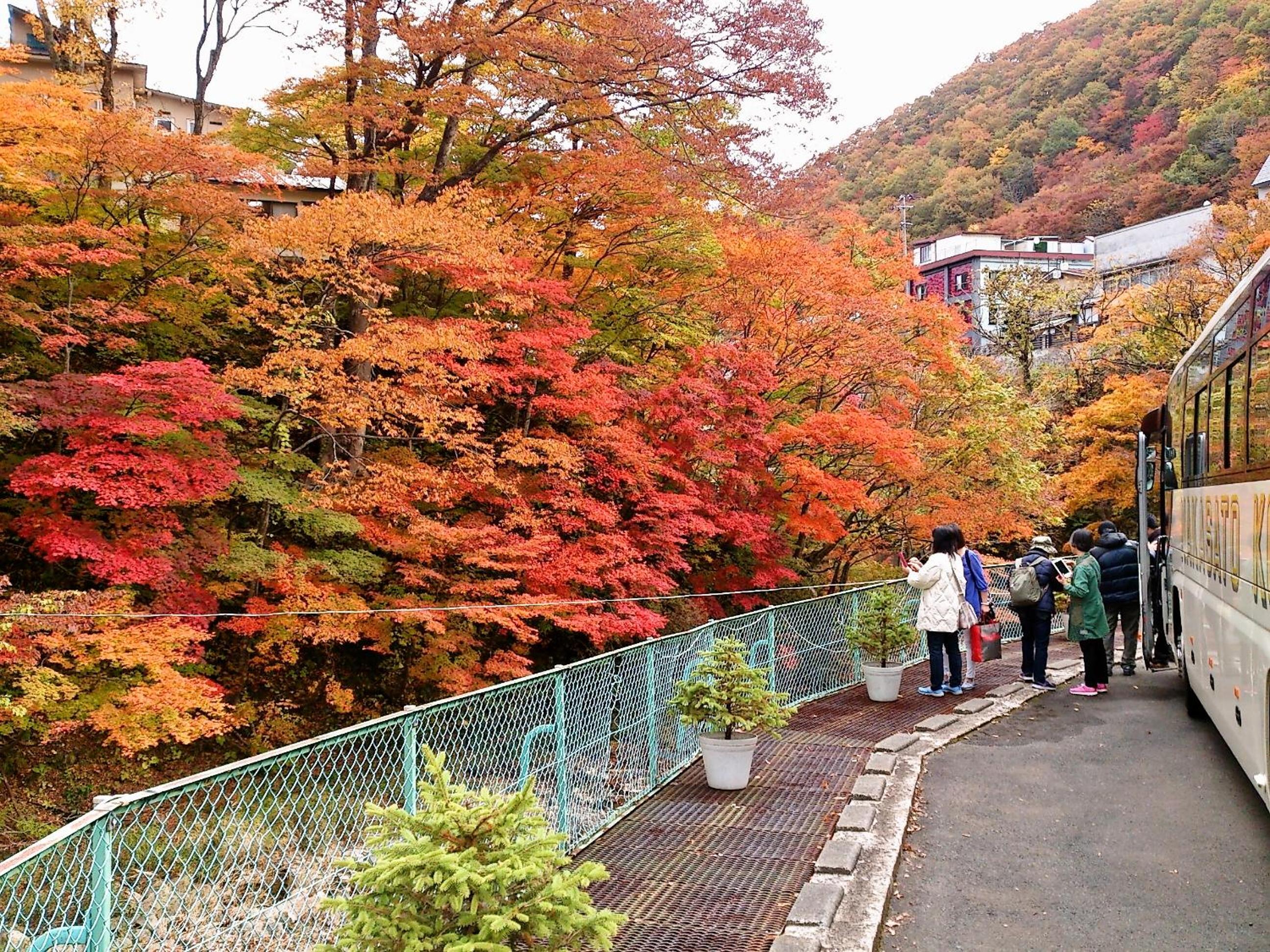 竹あかりの宿 加賀助