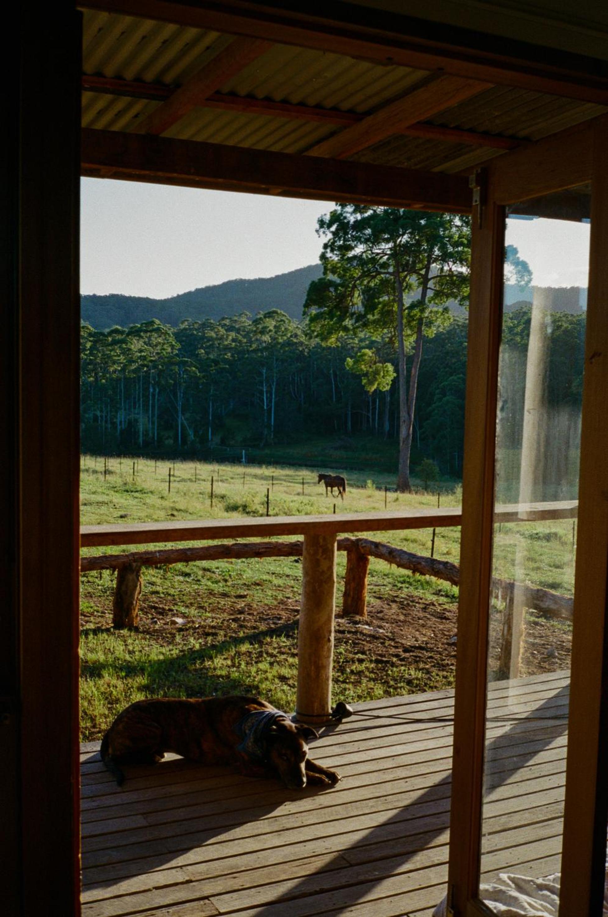 Hitching Rail Hut
