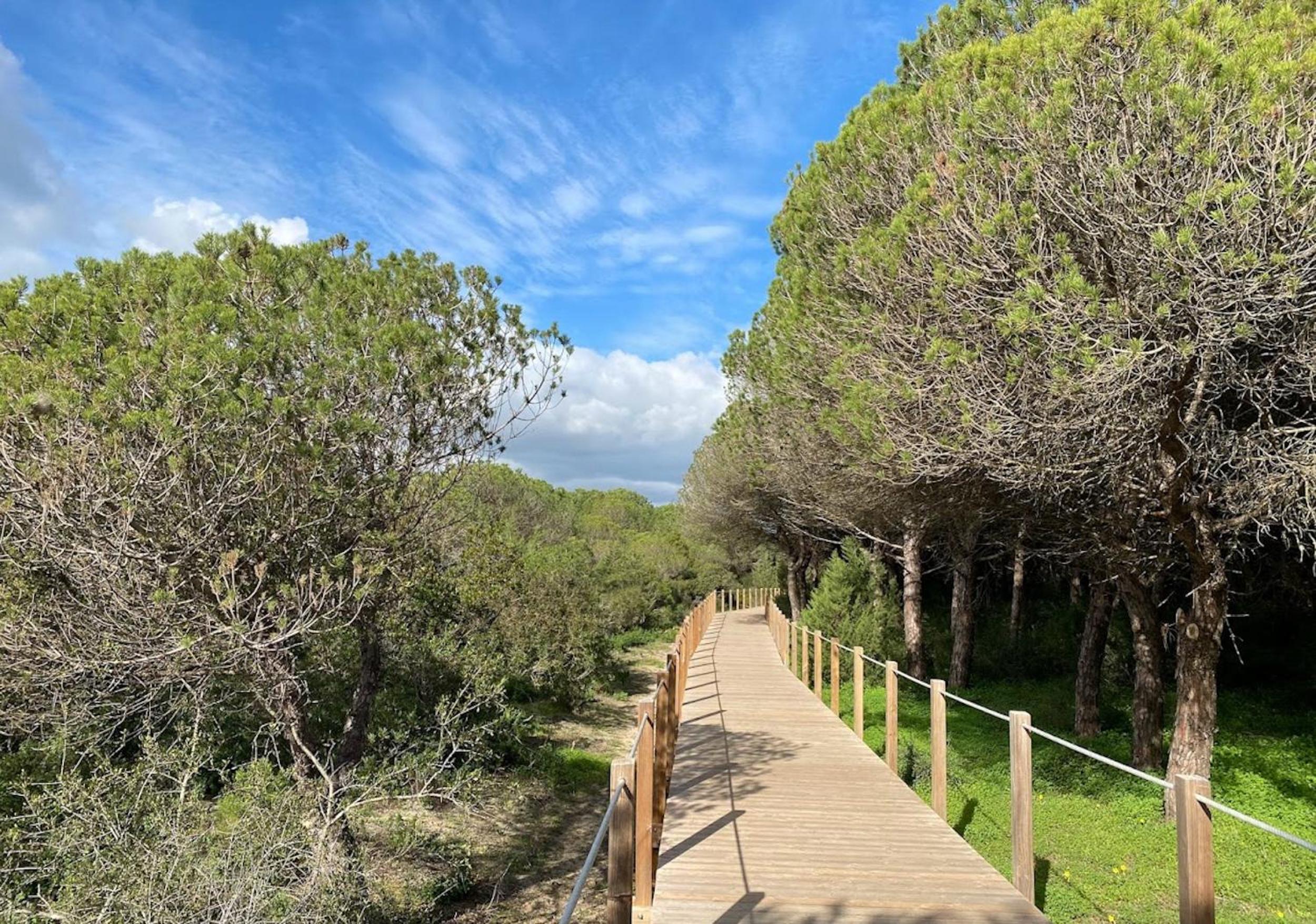 Caparica Coast Villa