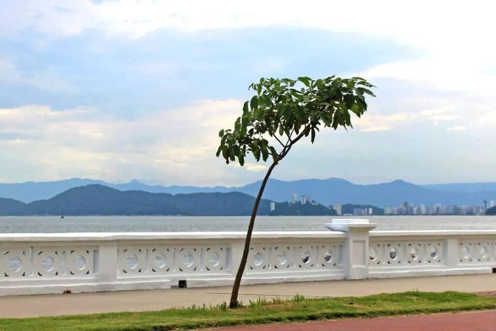 Apto - Ponta da Praia - Santos