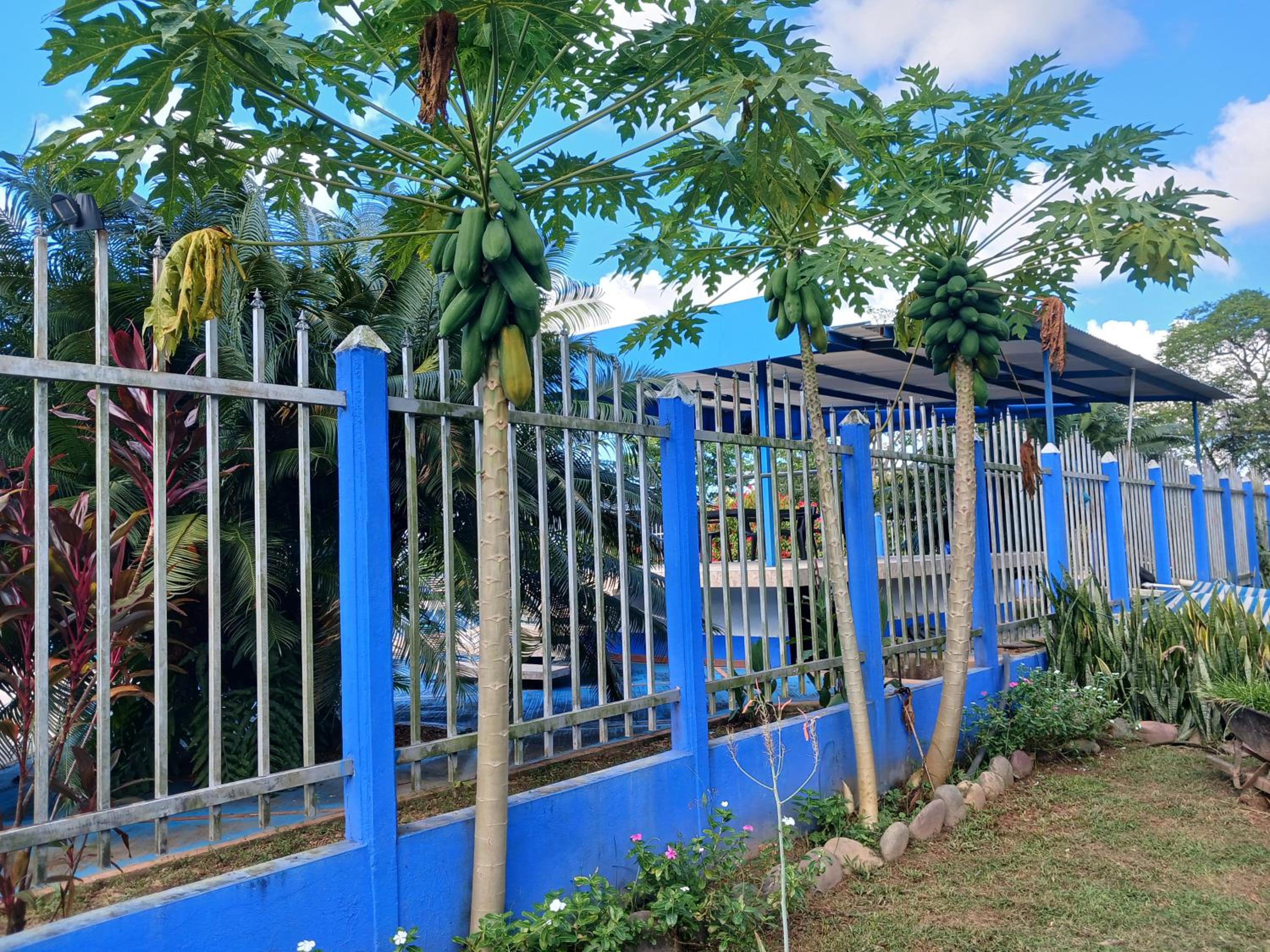 Hotel campestre la Maria - Property Image 7