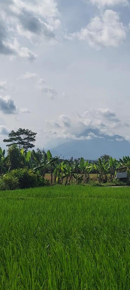 Banua Dharma Homestay