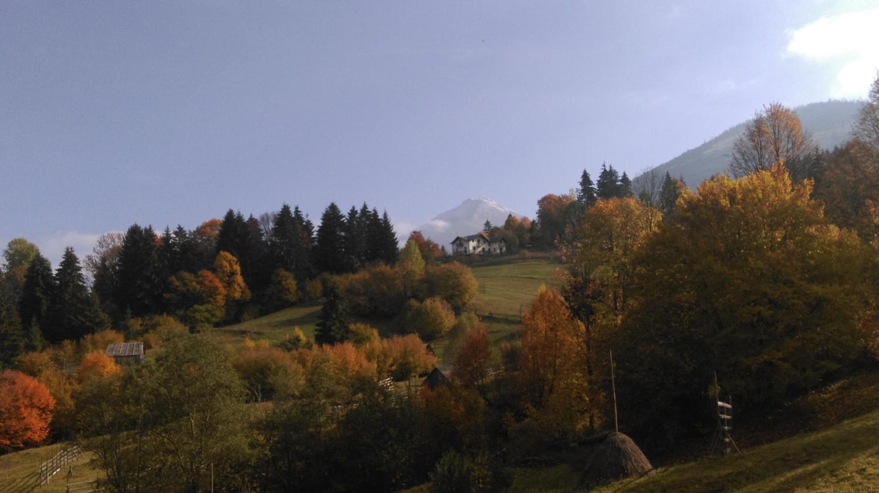 Alpina Deluxe Panoramic view 2