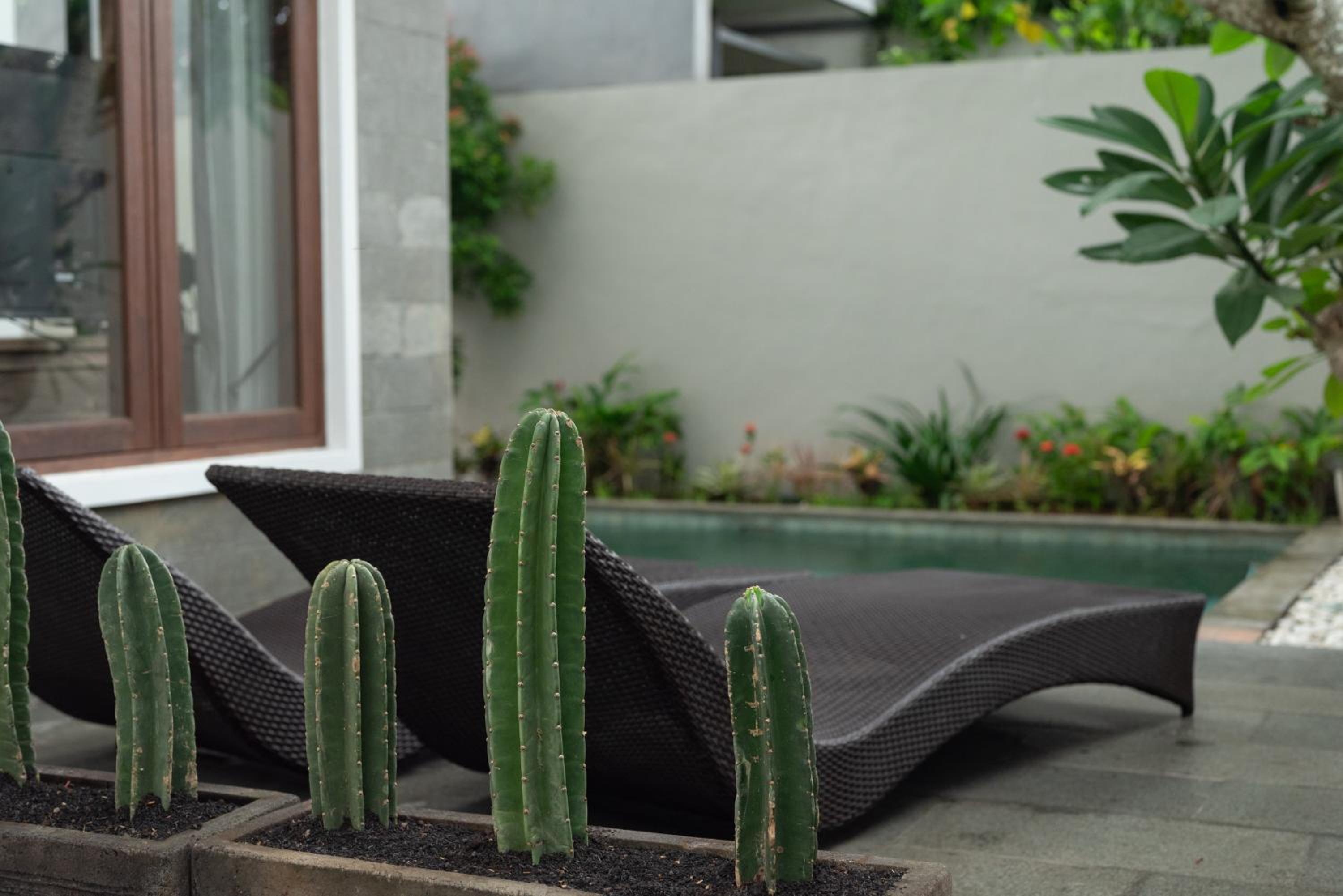 Terrace Mumbul