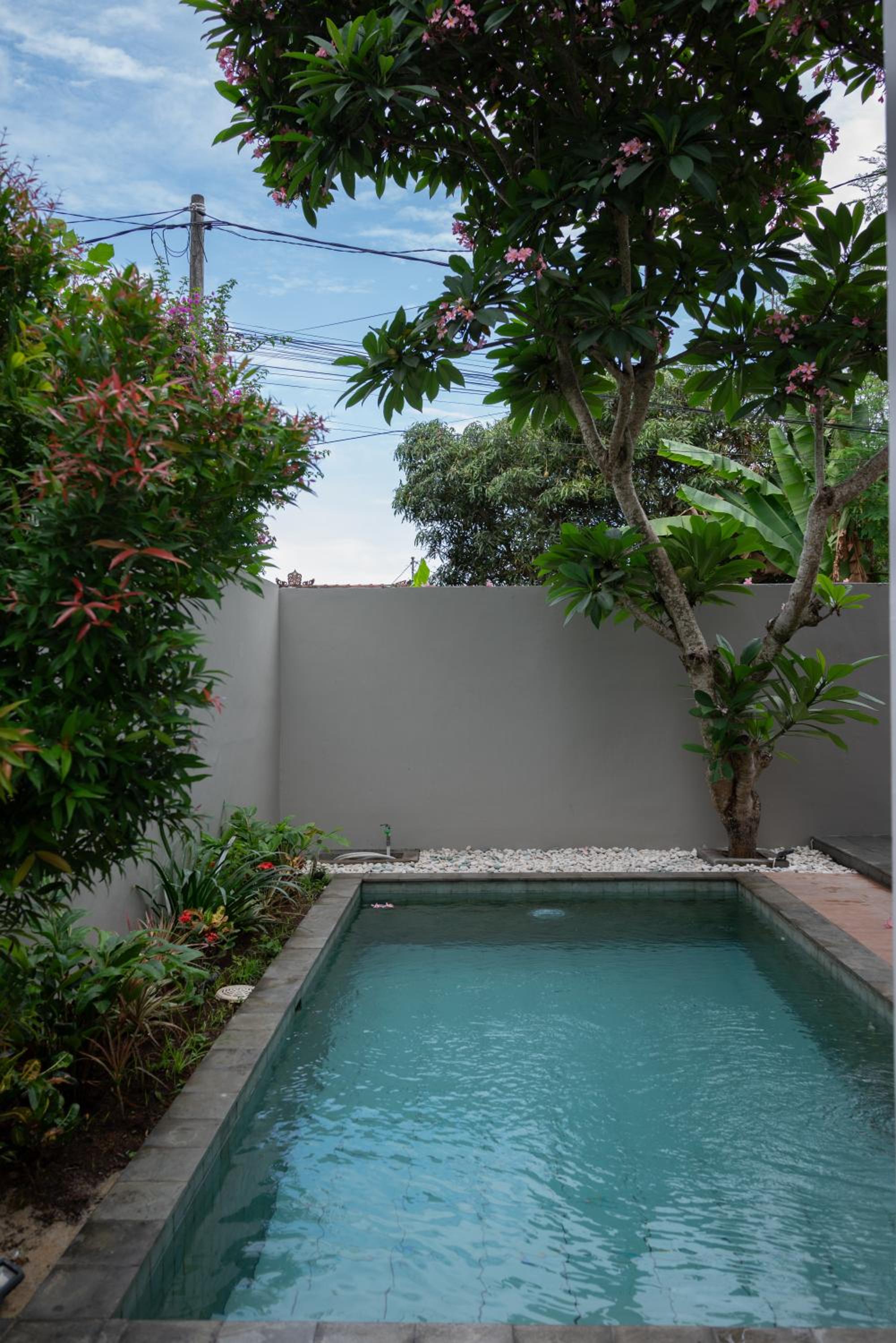 Terrace Mumbul