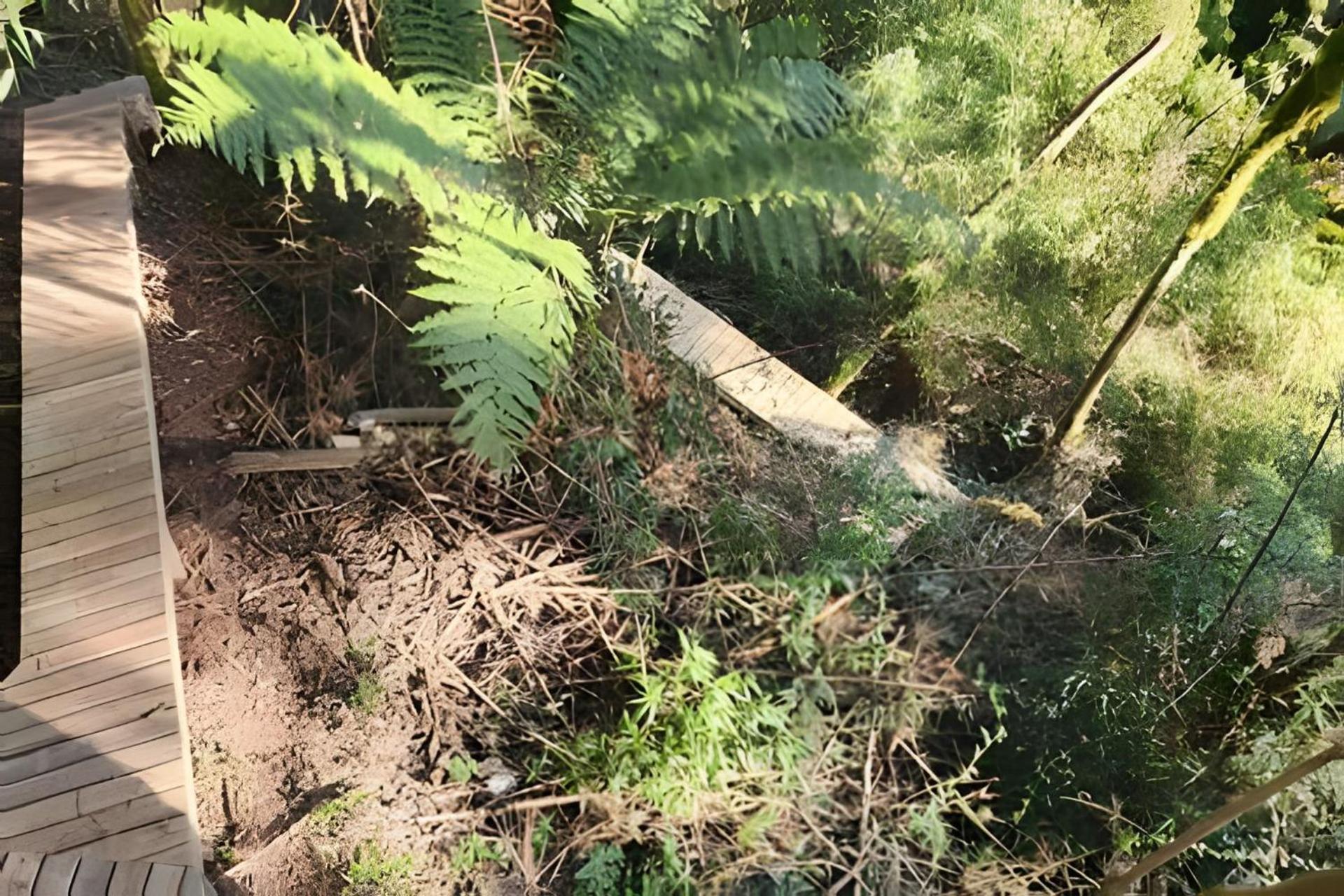 domo geodesico