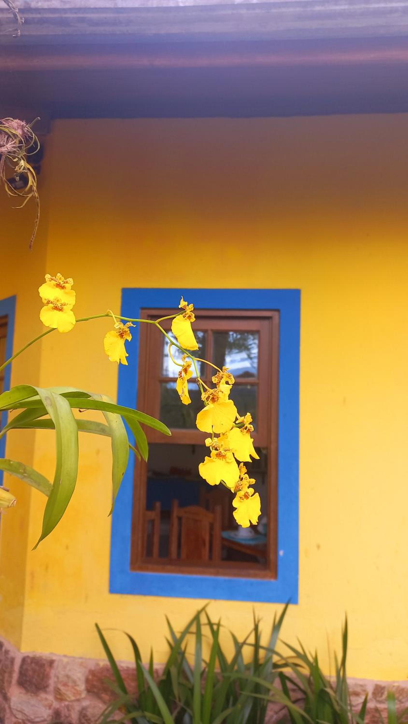 Pousada Conchas de Paraty
