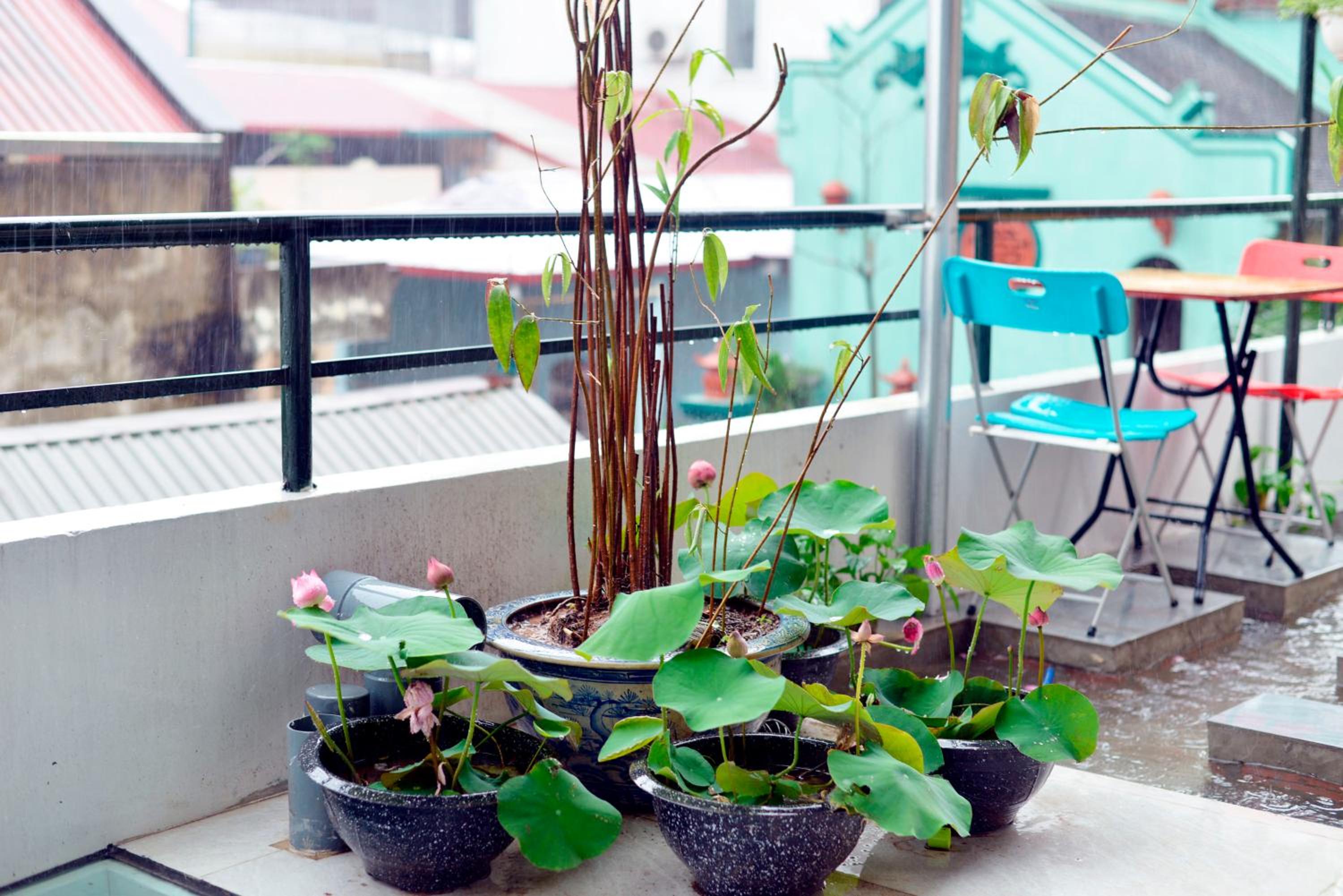 balance & terrace