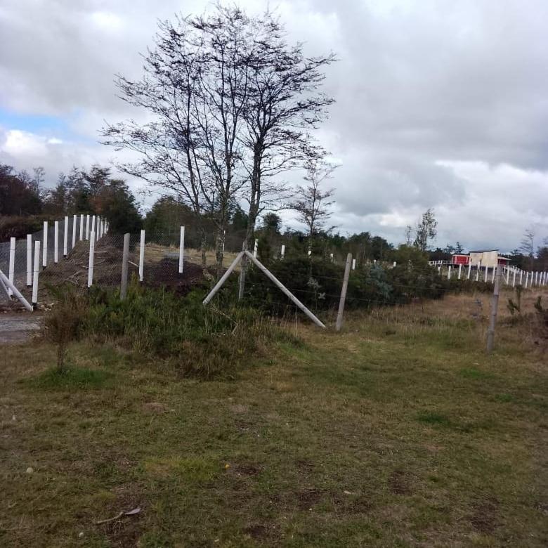 La Goleta Monte Verde, Puerto Montt