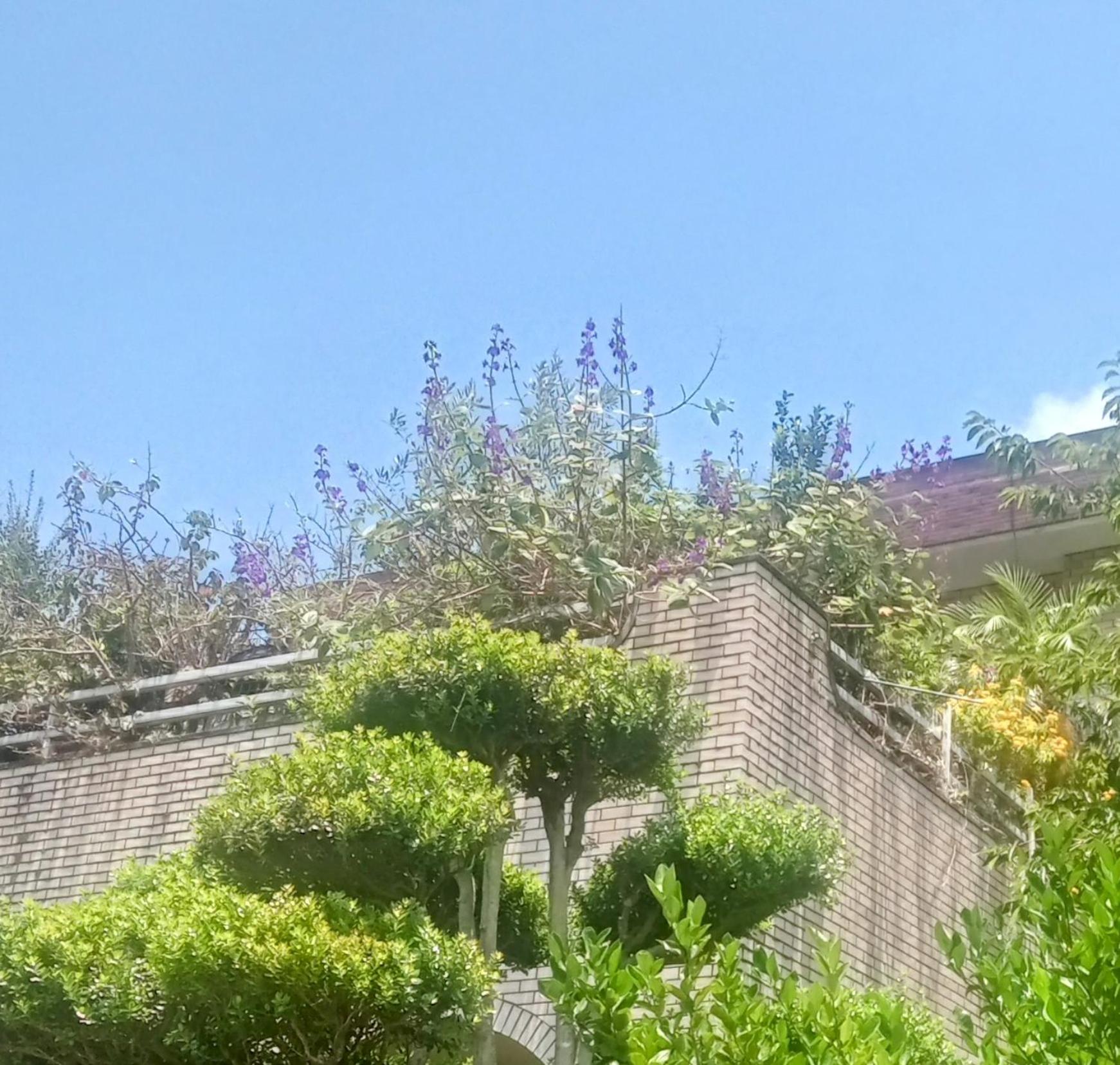 Nagahama House -奄美大島のテラス付一棟貸切-